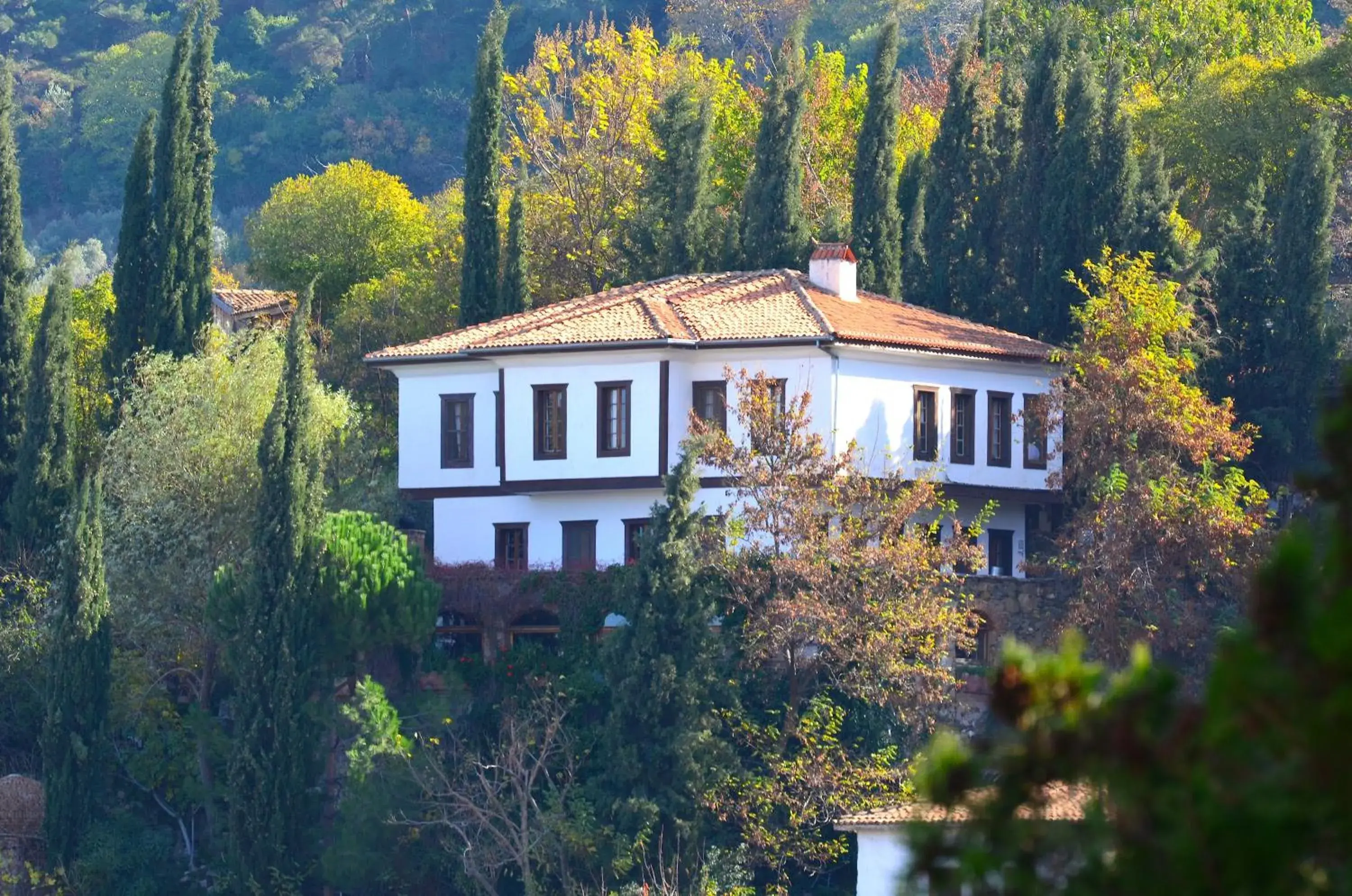 Standard Double Room in Nisanyan Hotel Standard Double Room in Nisanyan Hotel