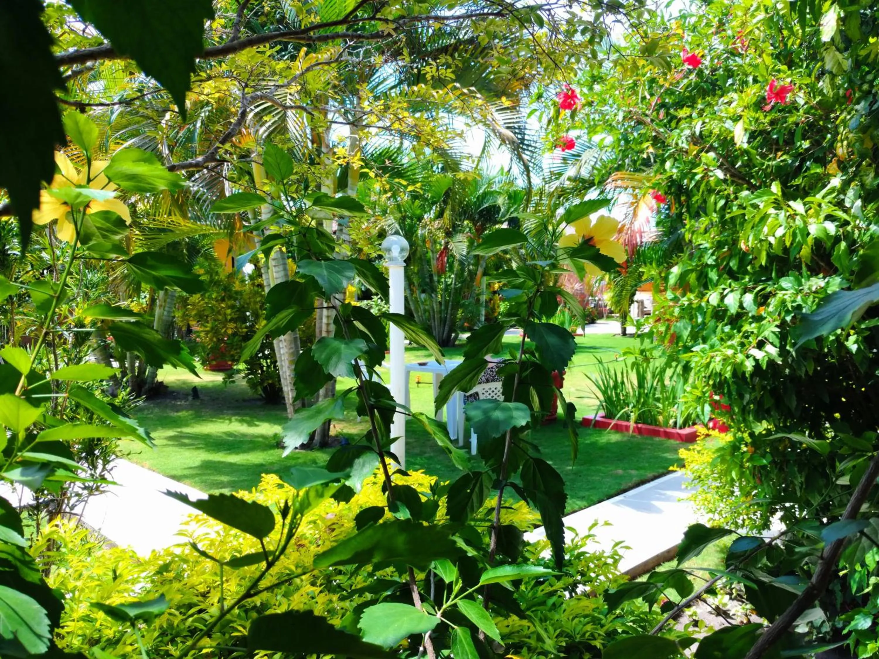 Spring in Pousada Verdes Mares