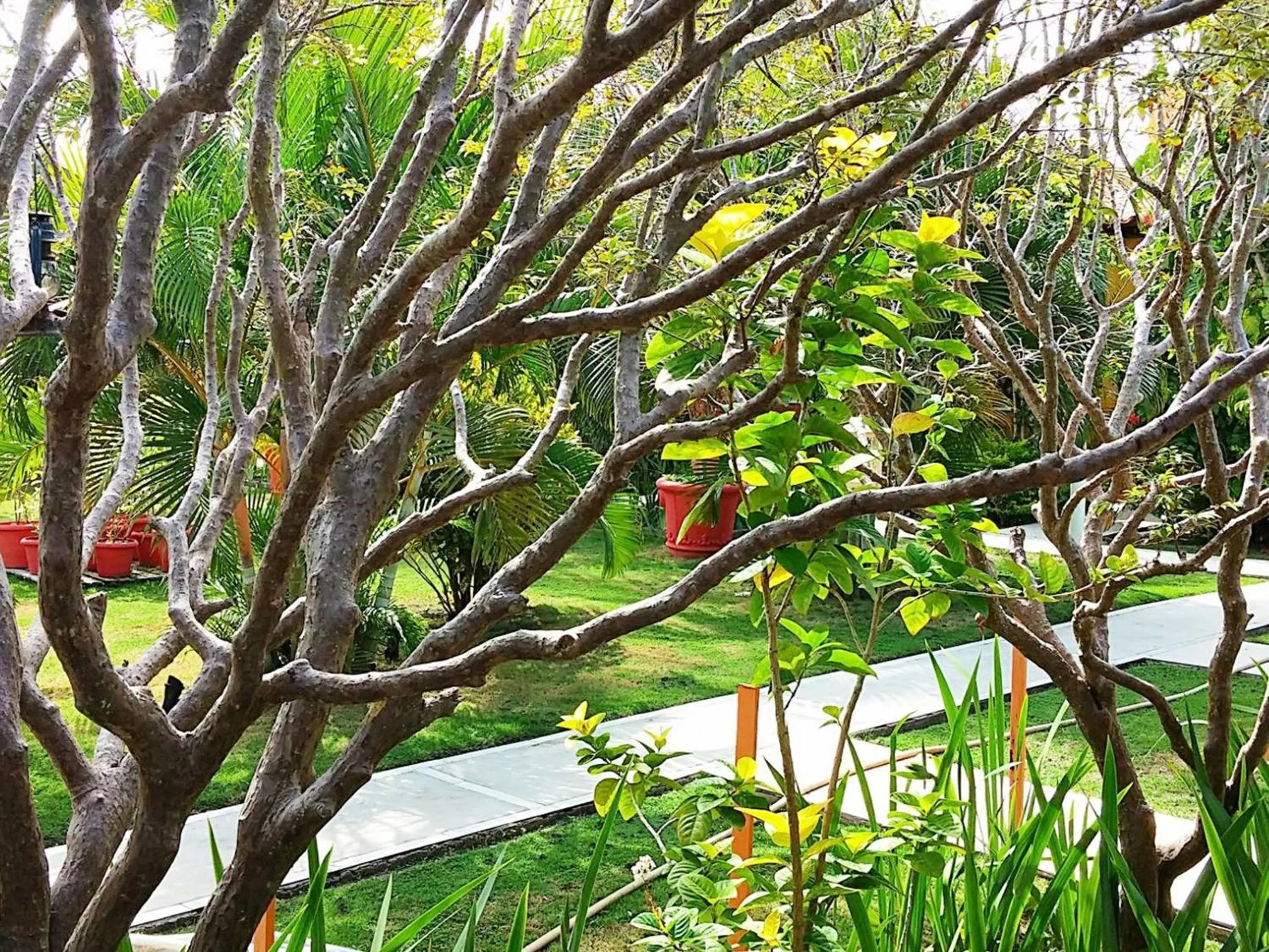 Spring in Pousada Verdes Mares