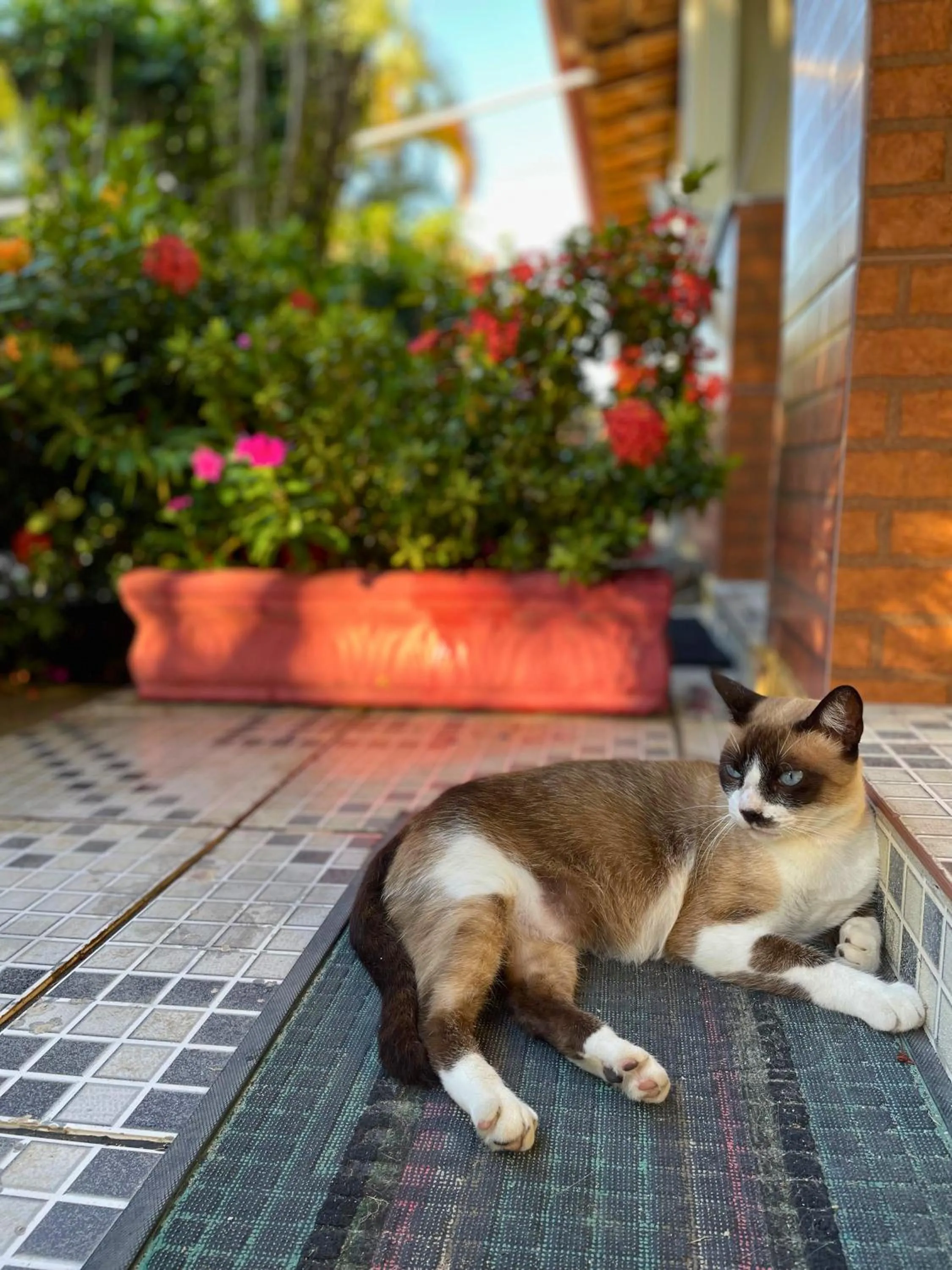 Property building in Pousada Verdes Mares