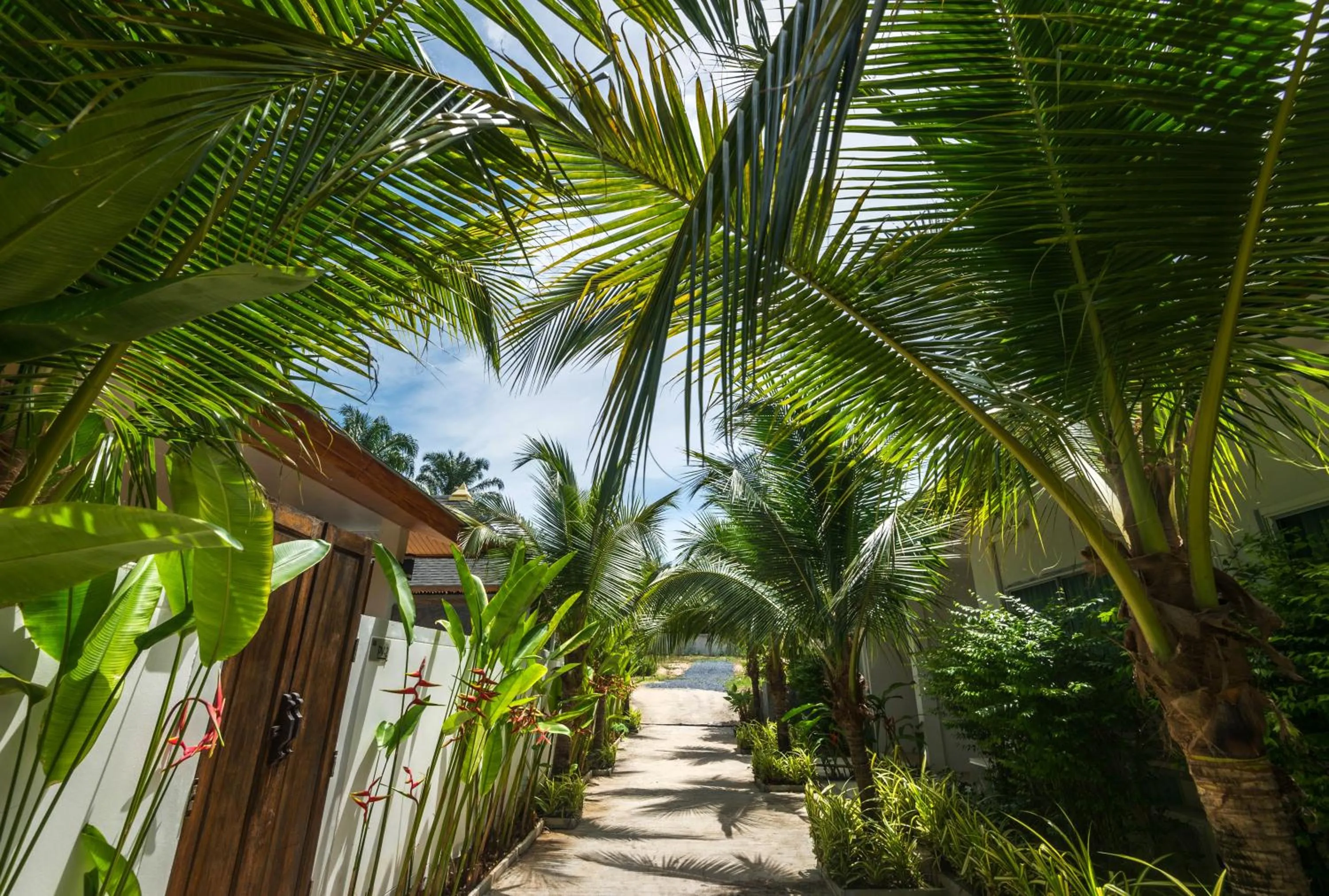 Garden view in Amadha Villas Retreat 