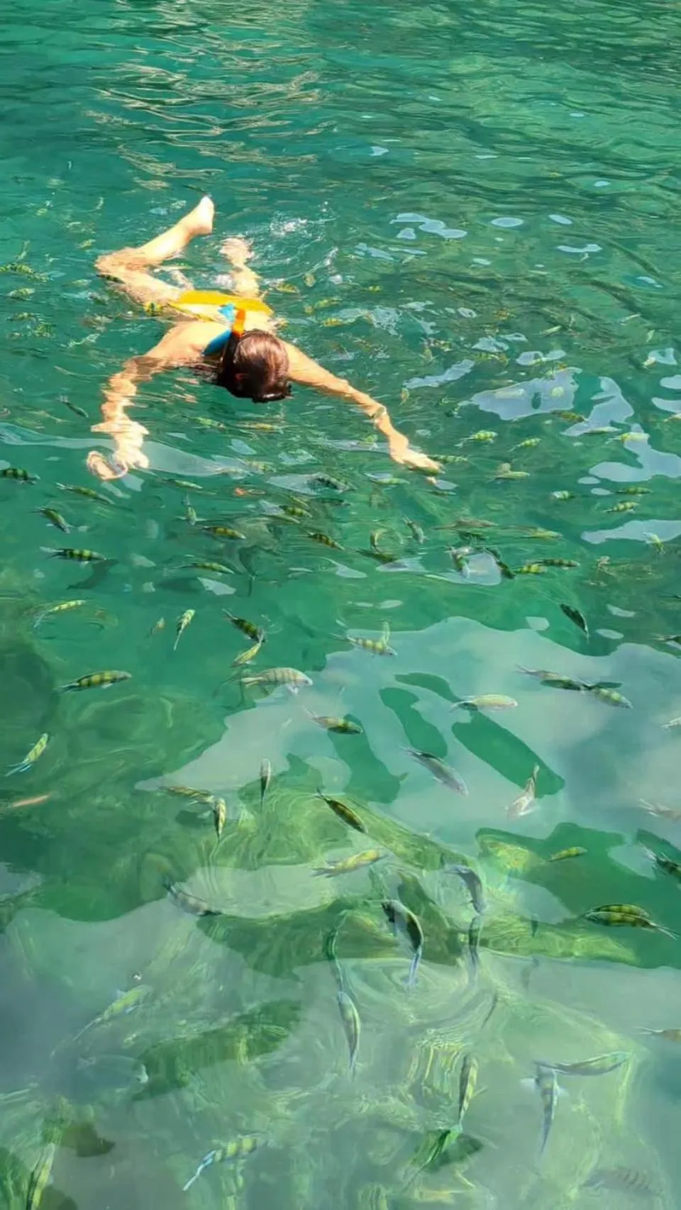 Activities, Other Animals in Amadha Villas Retreat 