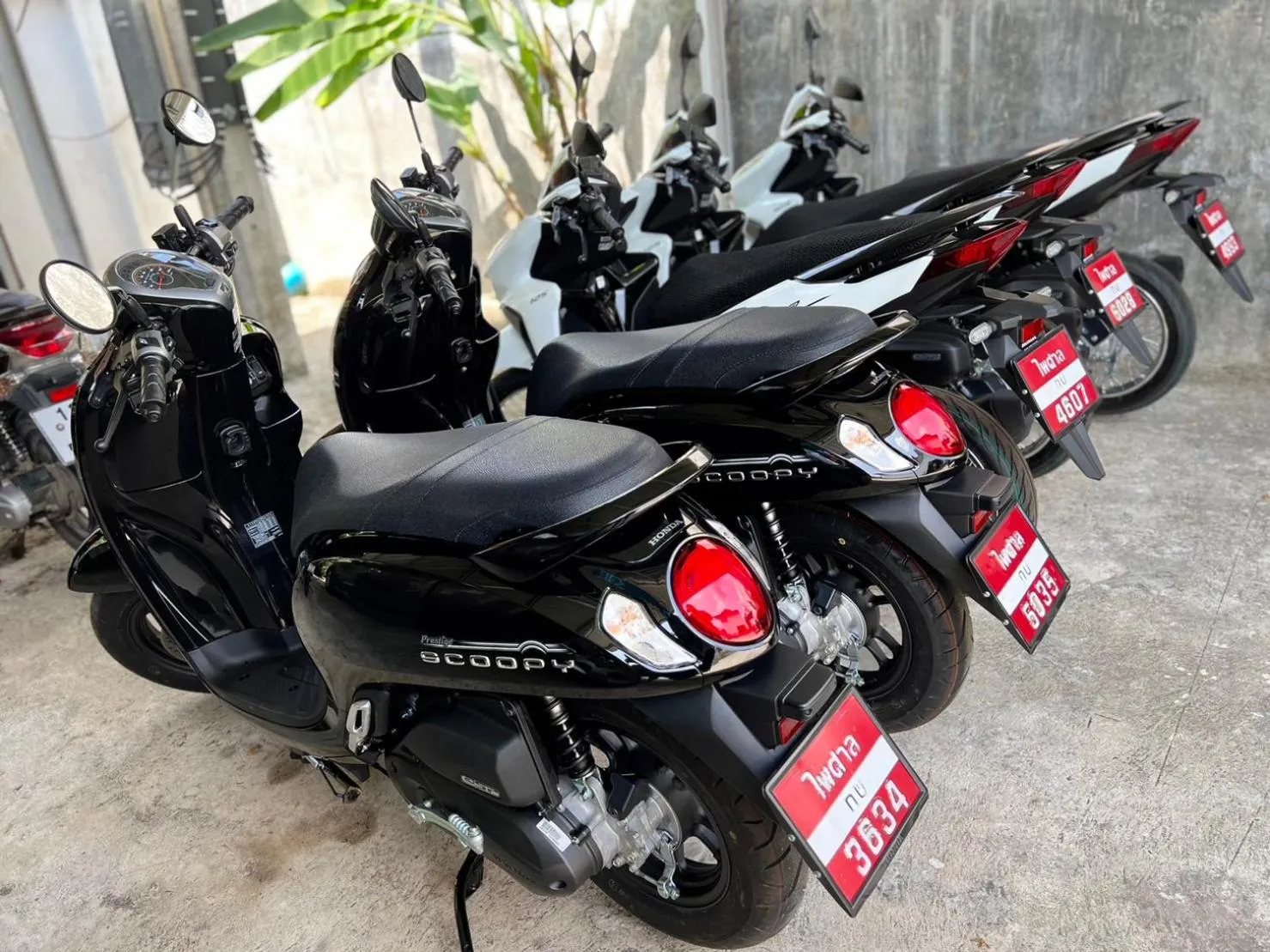 Activities in Amadha Villas Retreat 