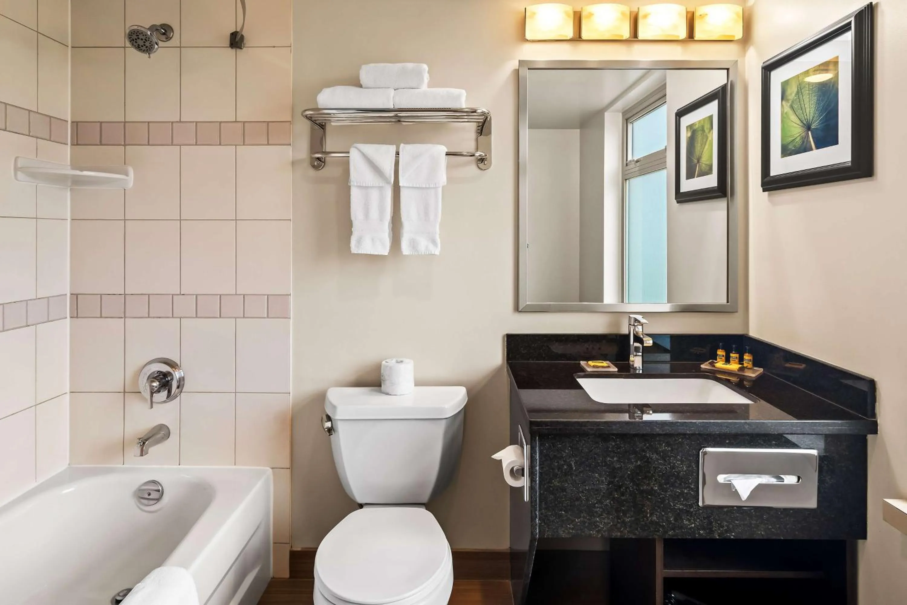 Bathroom in Best Western Plus Pitt Meadows Inn & Suites