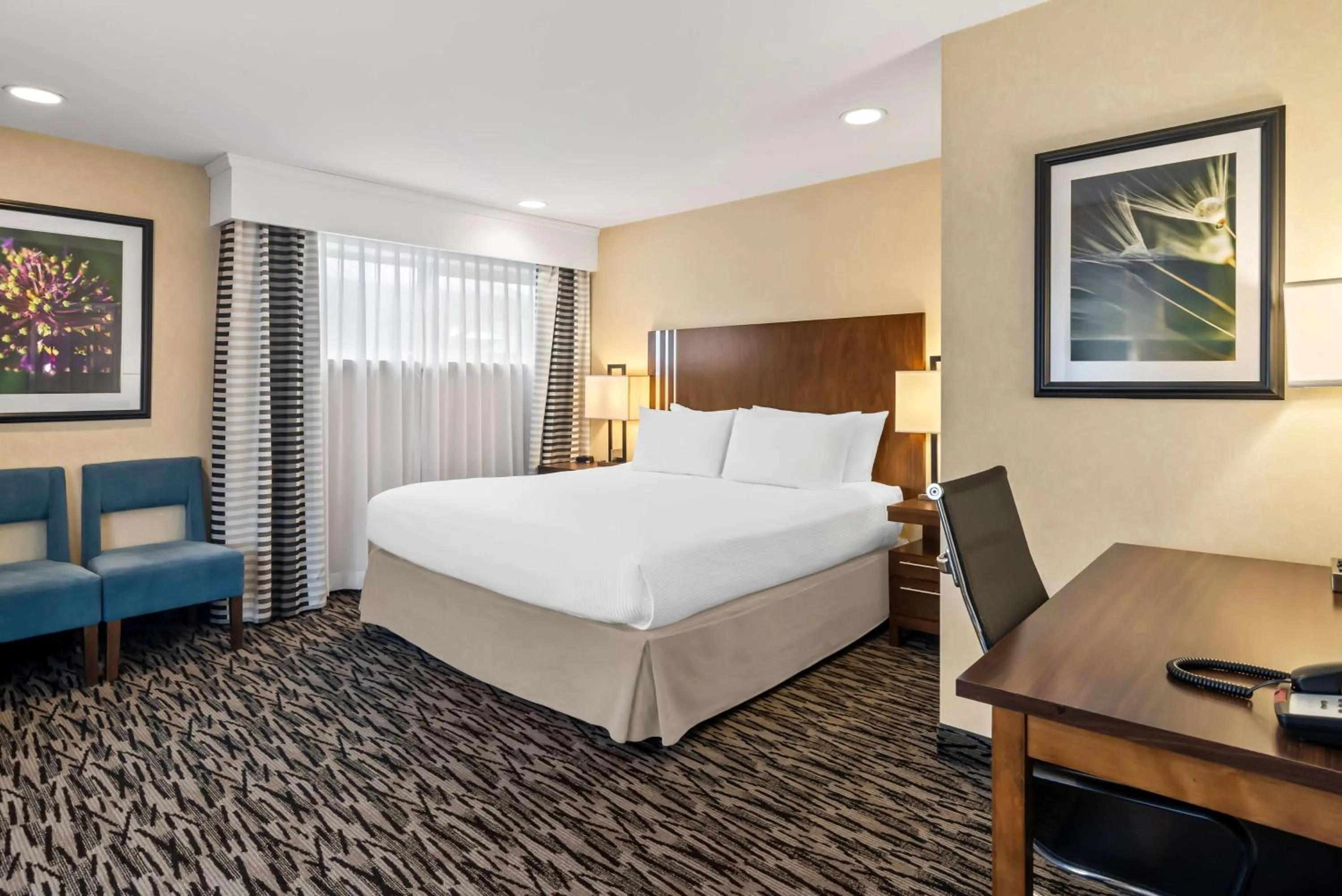 Photo of the whole room, Bed in Best Western Plus Pitt Meadows Inn & Suites