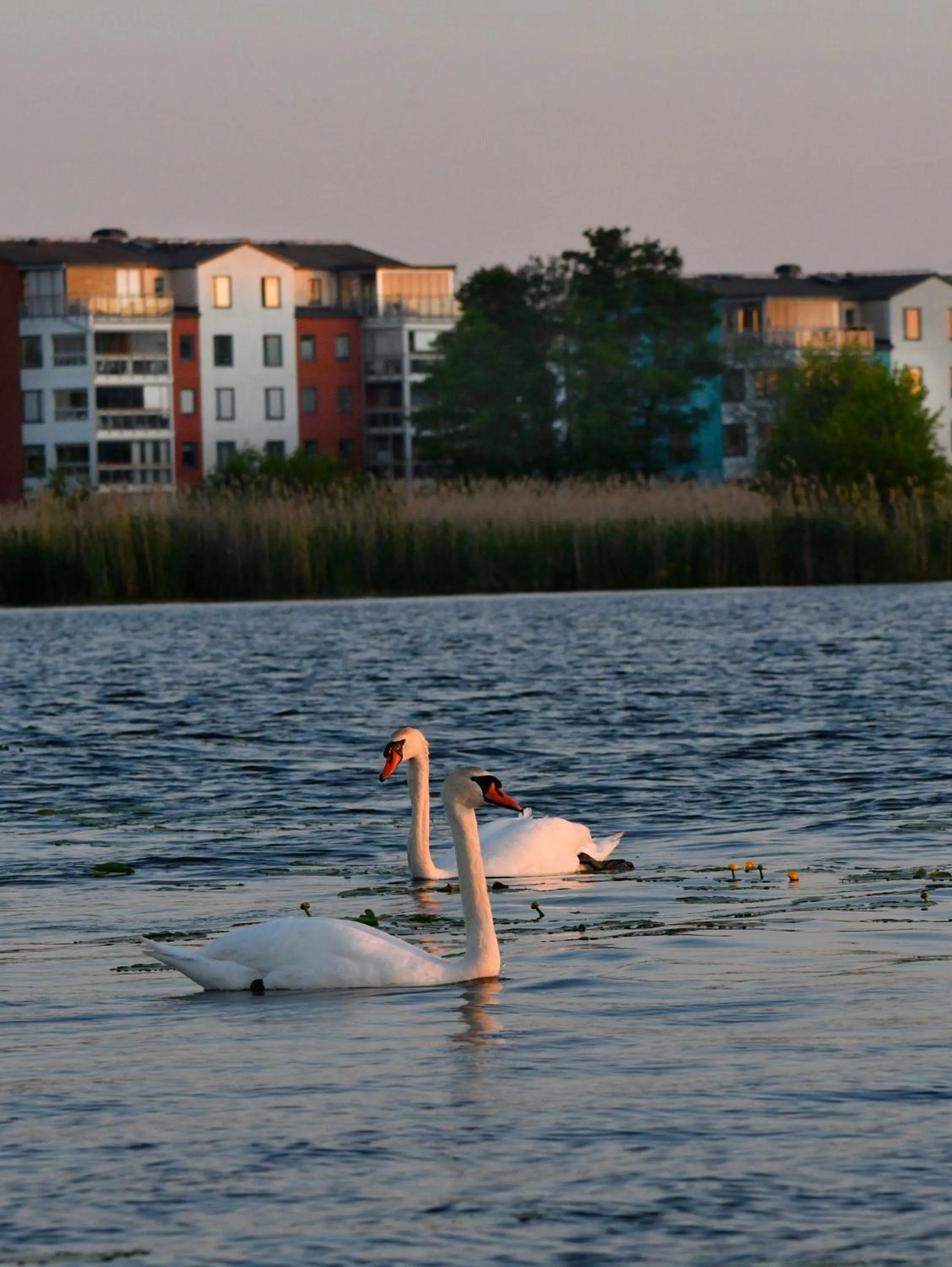 View (from property/room) in Vänerport Lakefront Hotell
