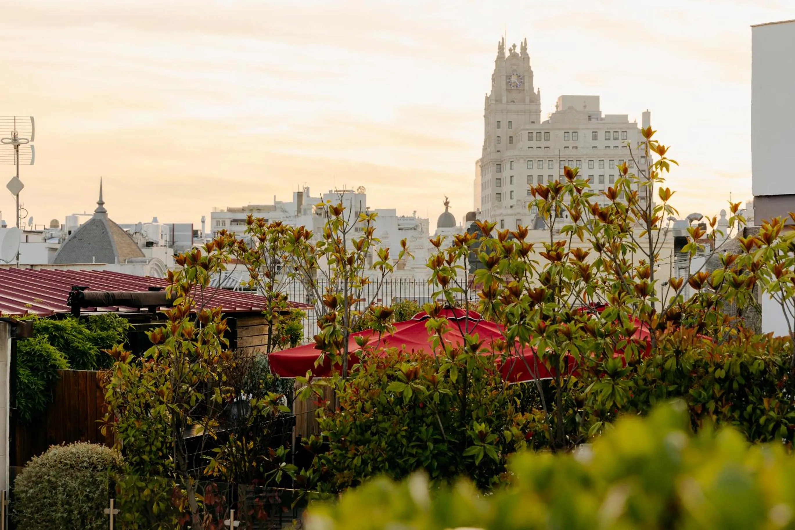 View (from property/room) in The Principal Madrid, Small Luxury Hotels