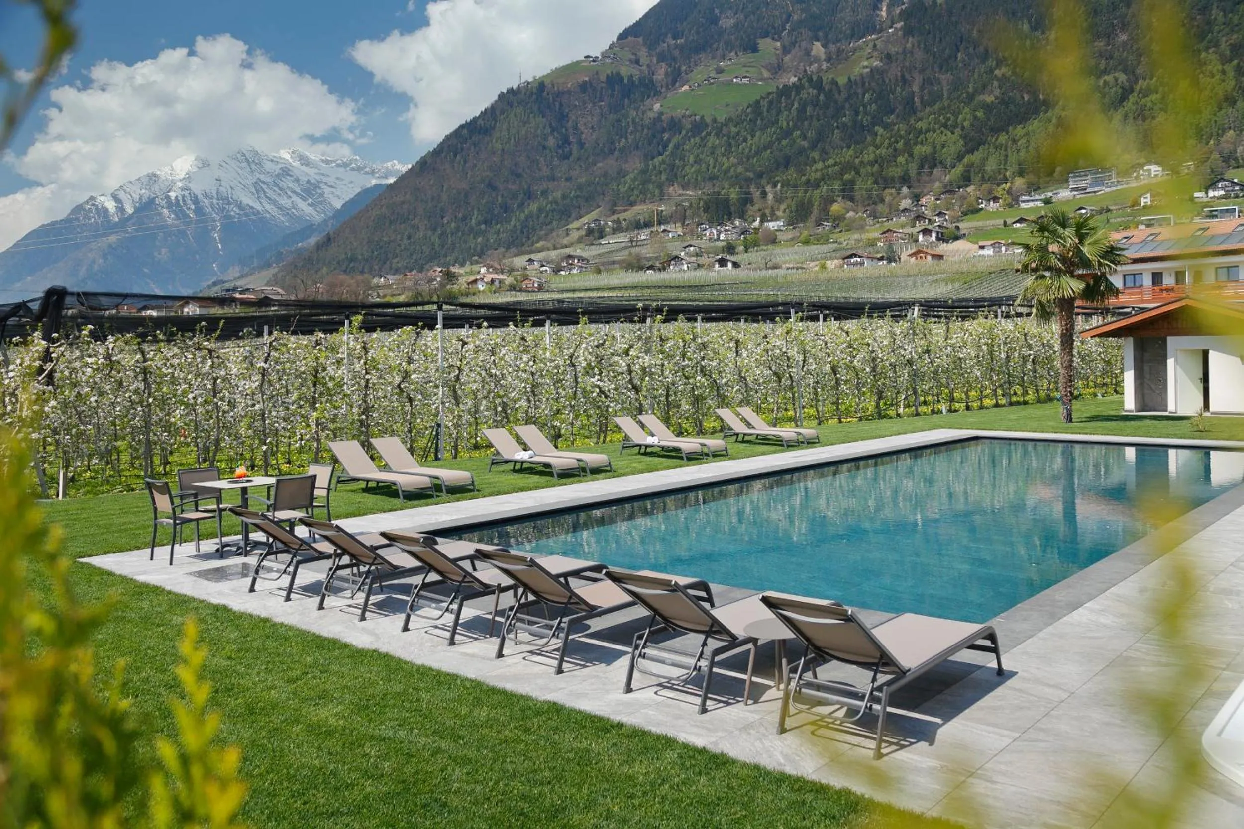 Swimming pool in Appartement-Hotel Anthea