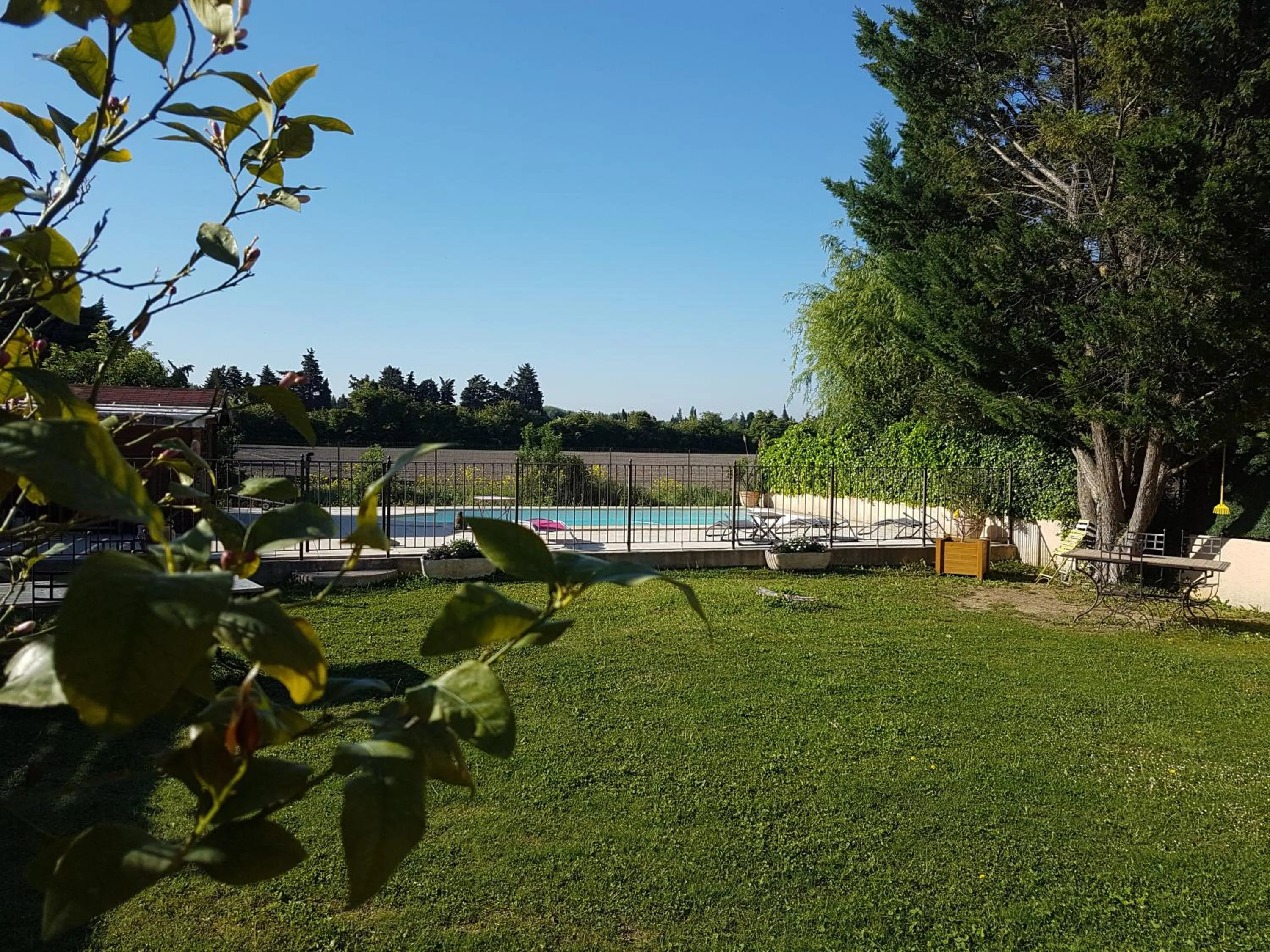 Garden in fleur de garance