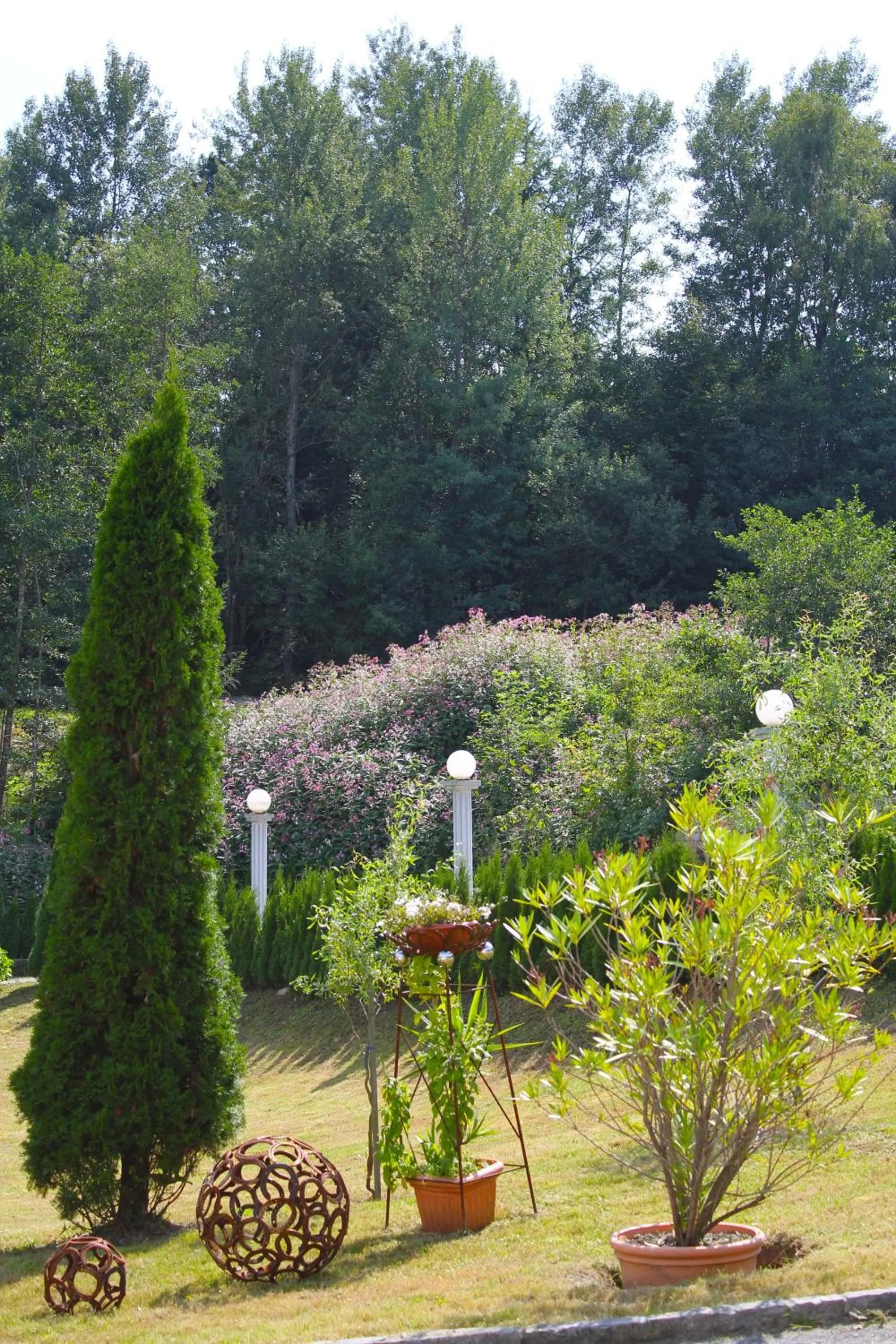 Garden in Hotel Der Seehof