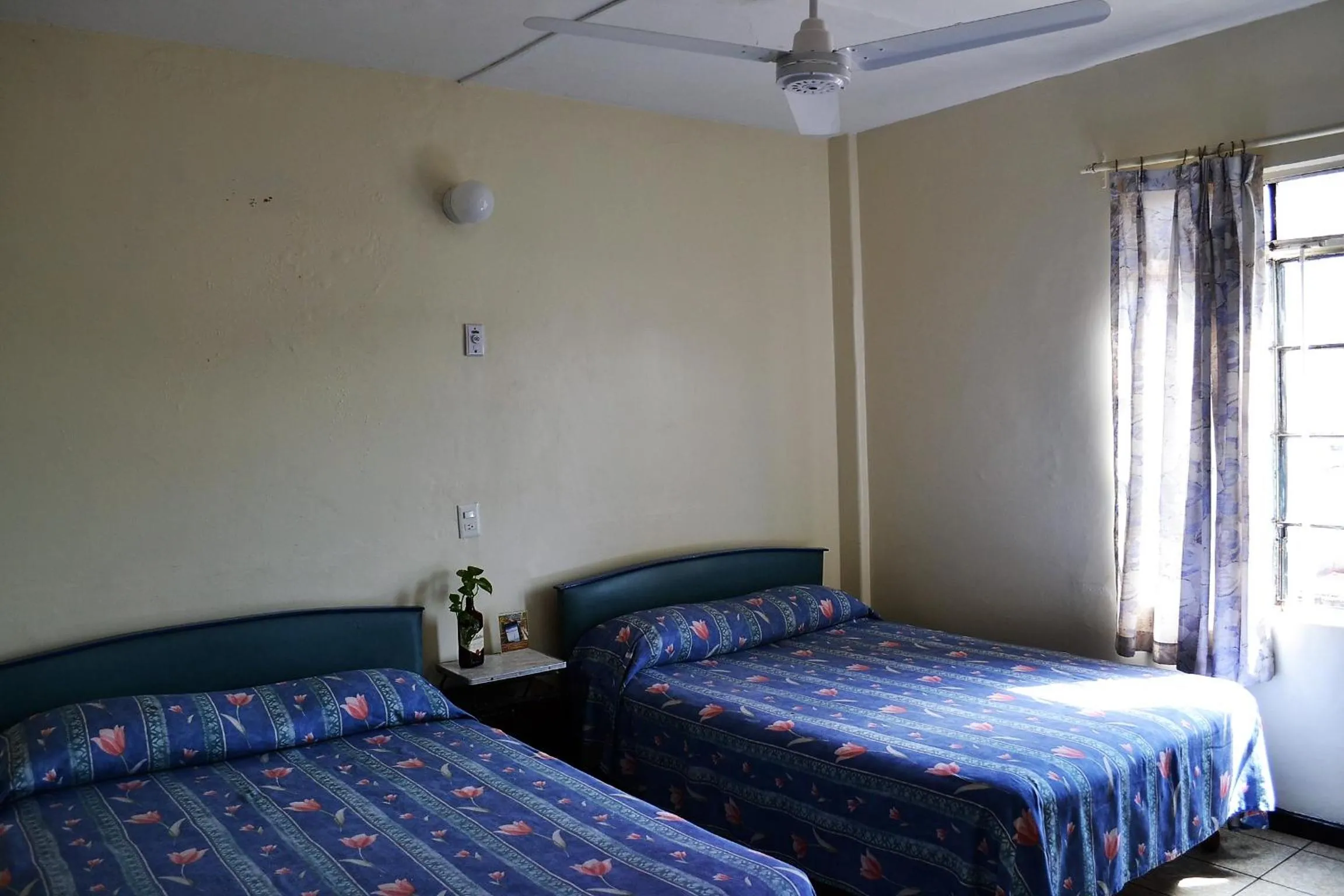 Bed in Hotel Janeiro