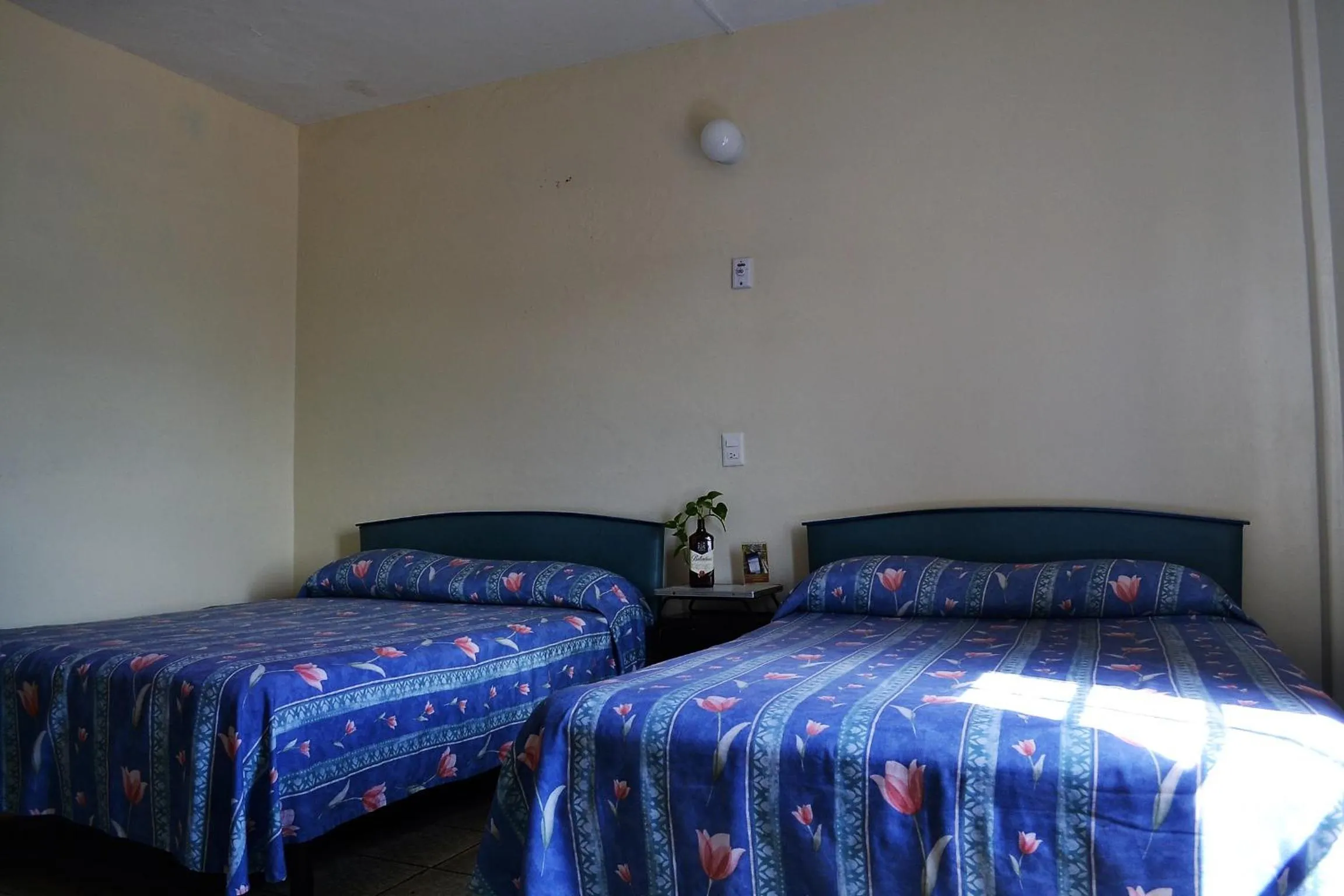 Bed in Hotel Janeiro