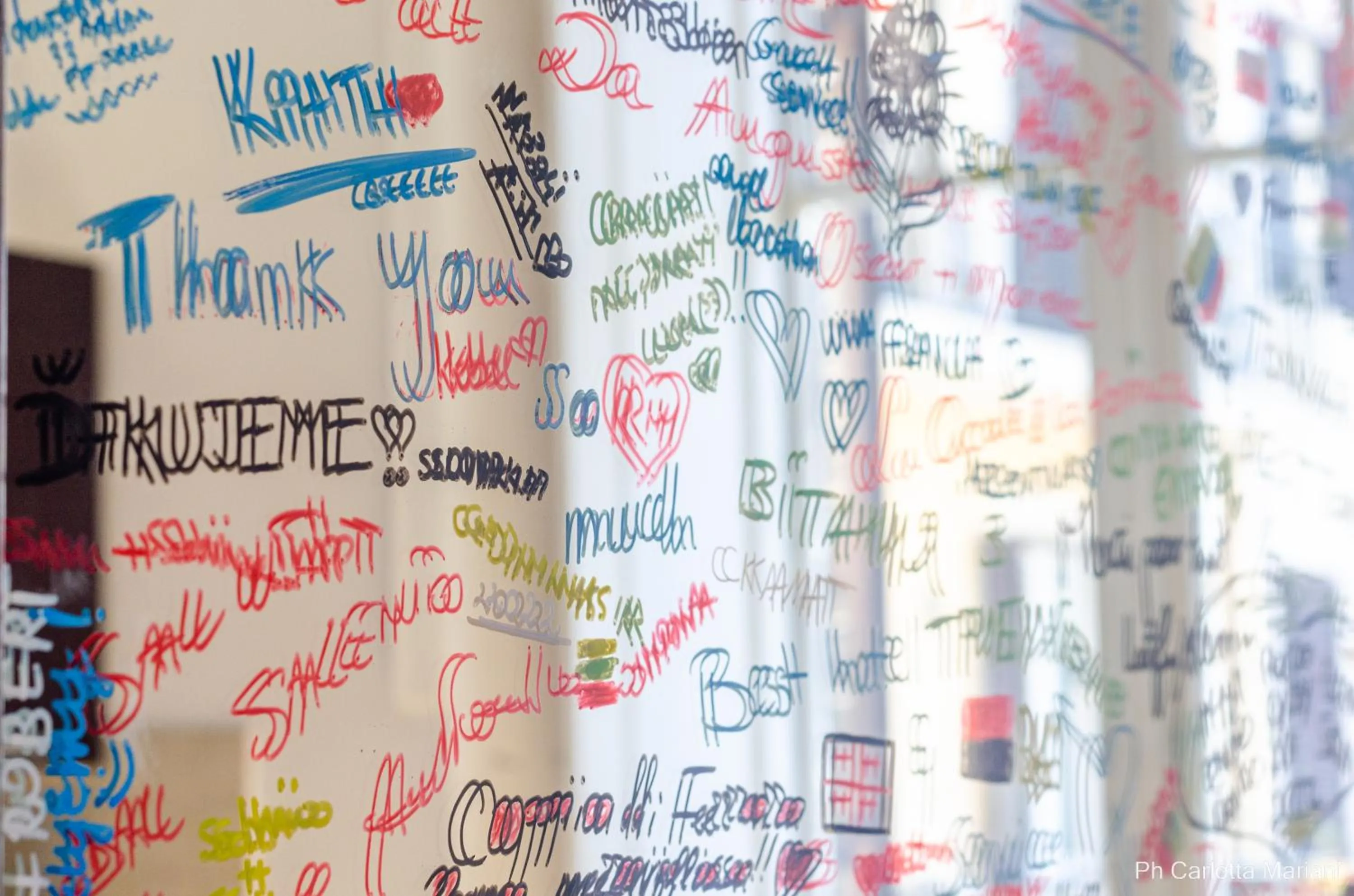 hair dresser in El Dorado Colosseum