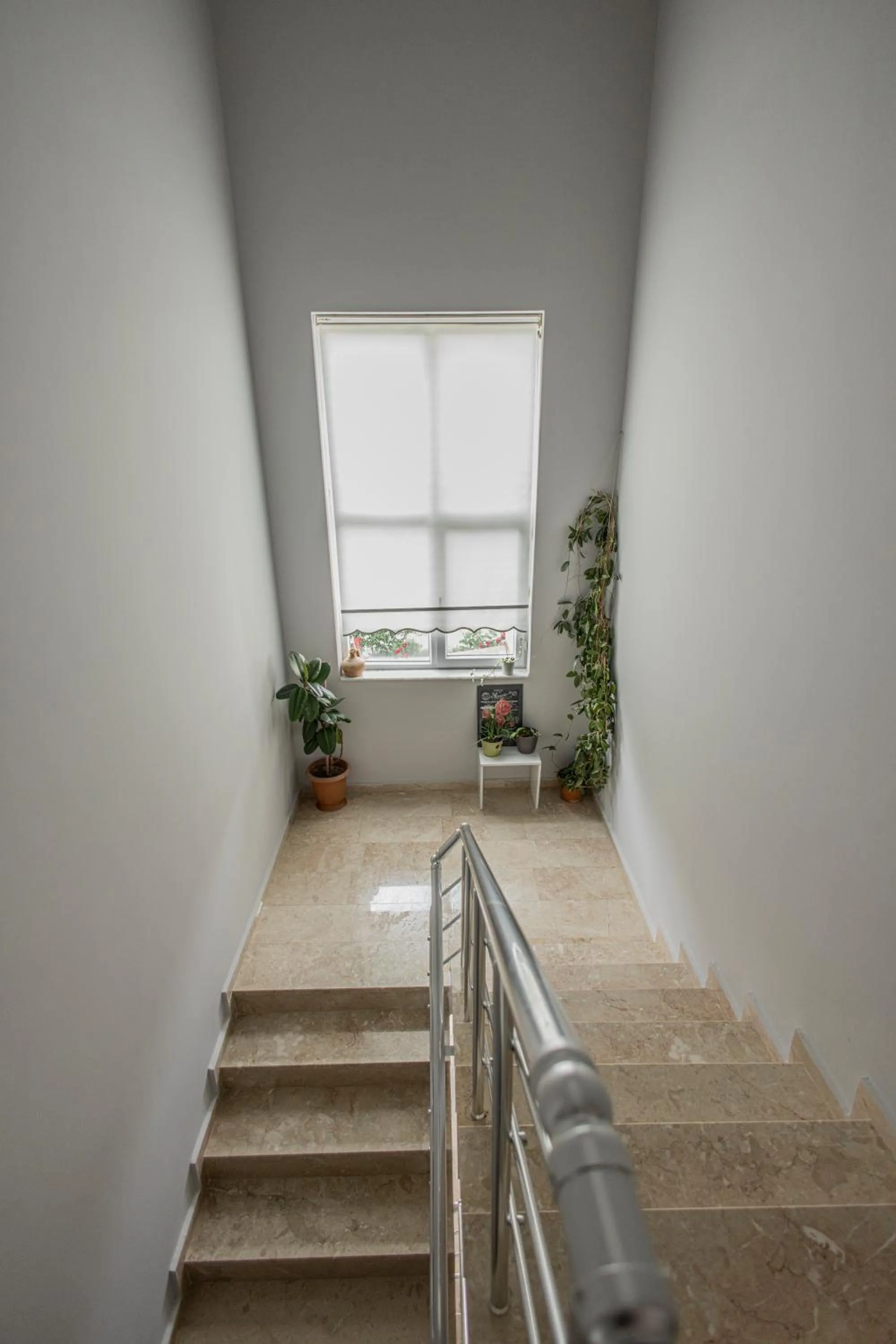 Property building in Zb home