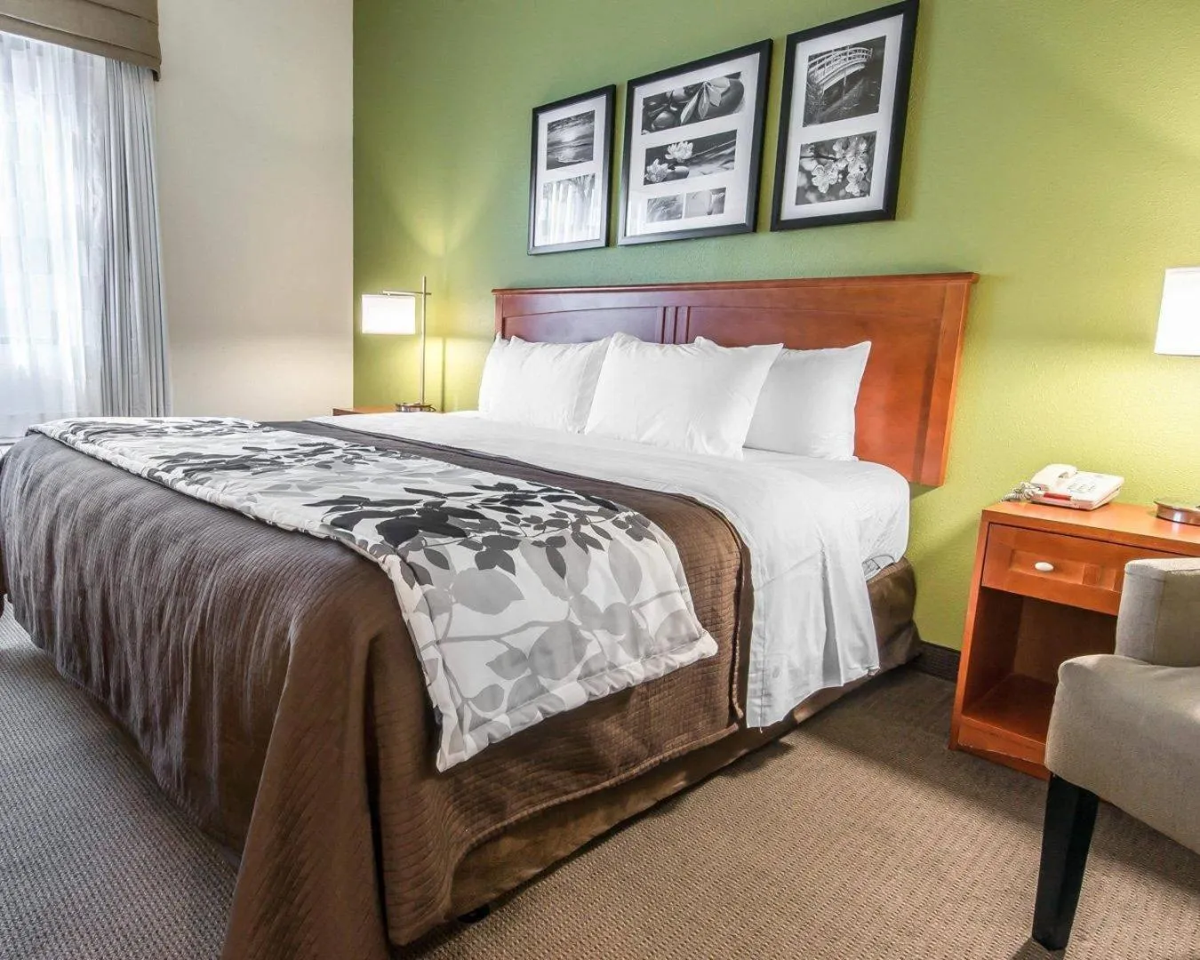 Bedroom, Bed in Sleep Inn & Suites Winchester near University