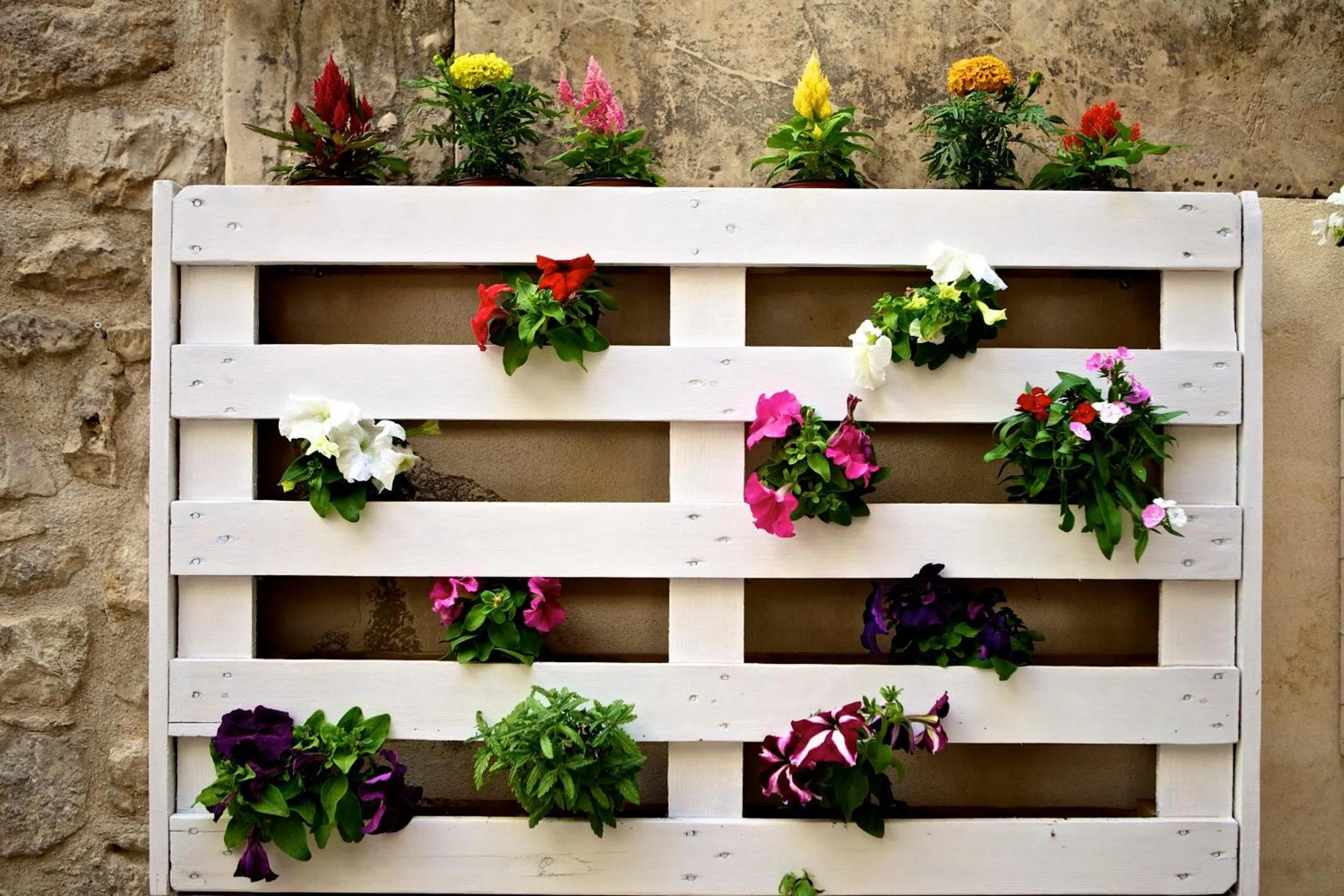 Patio in Le Cinque Luci