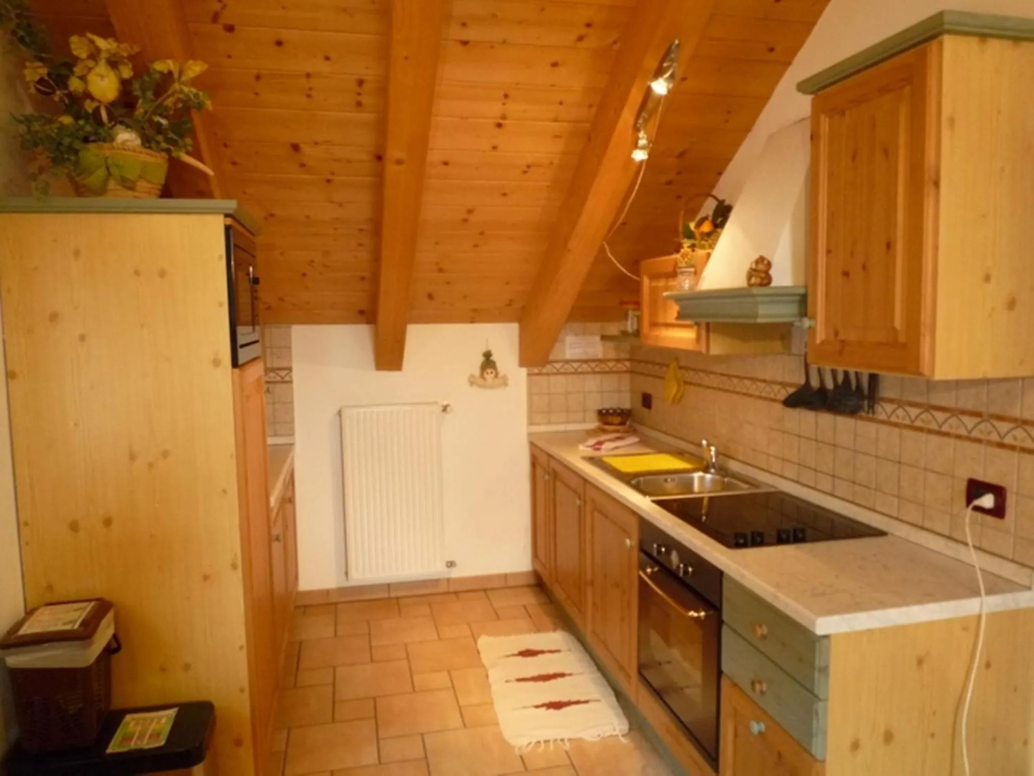 Kitchen or kitchenette in Residence Le Rose