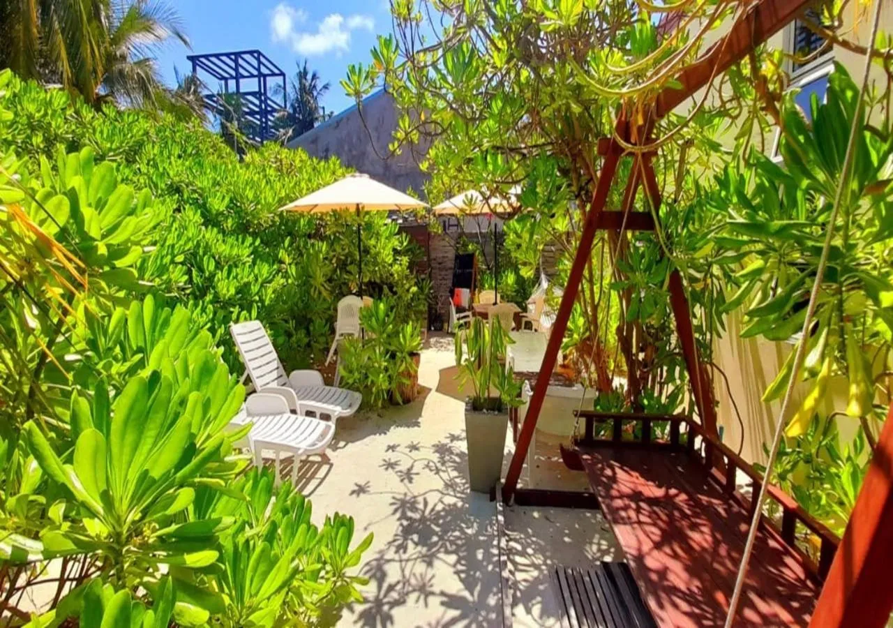 Garden in Beach Cottage
