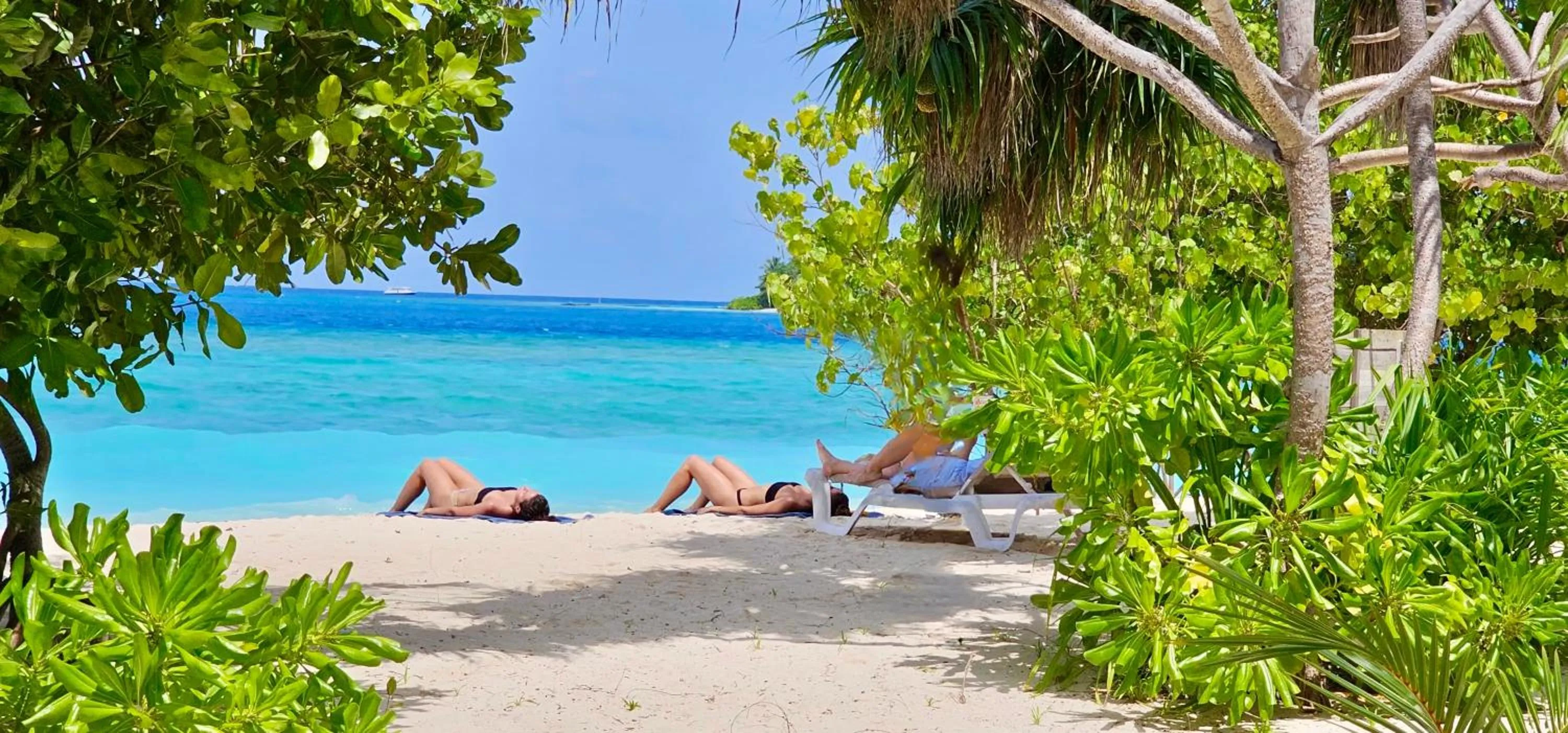 Beach in Beach Cottage