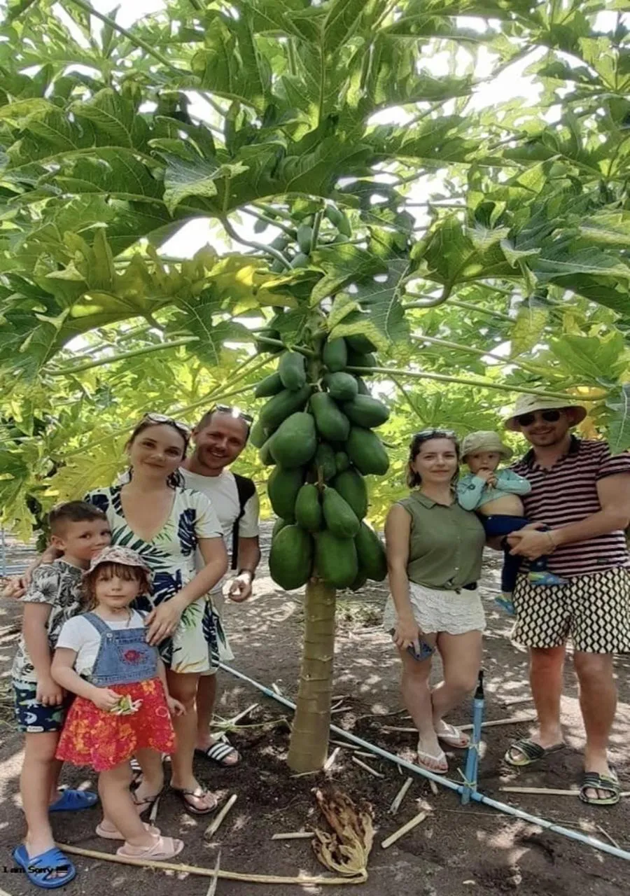 Activities in Beach Cottage