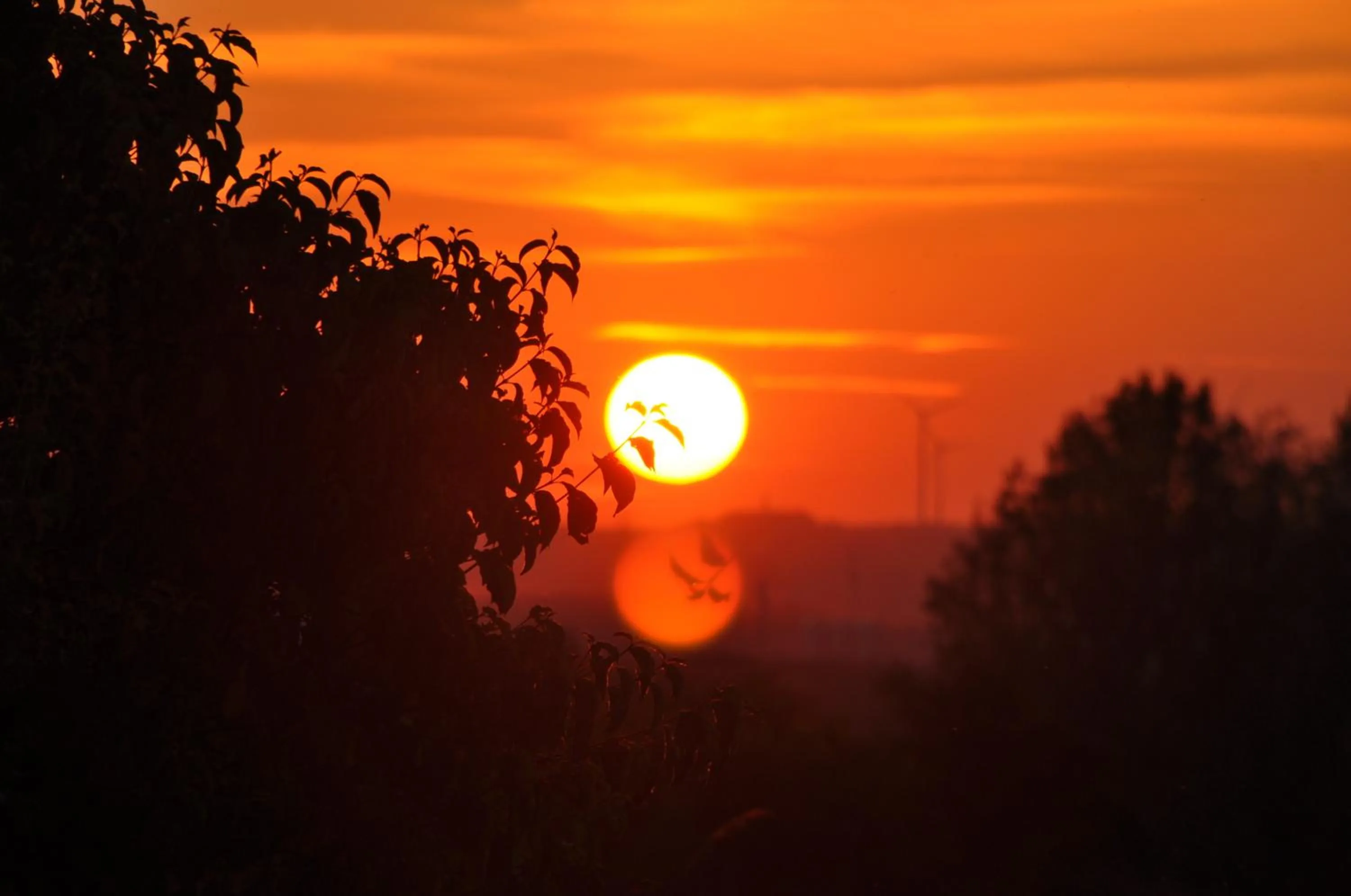 Sunset in Hotel-Restaurant Elsterblick