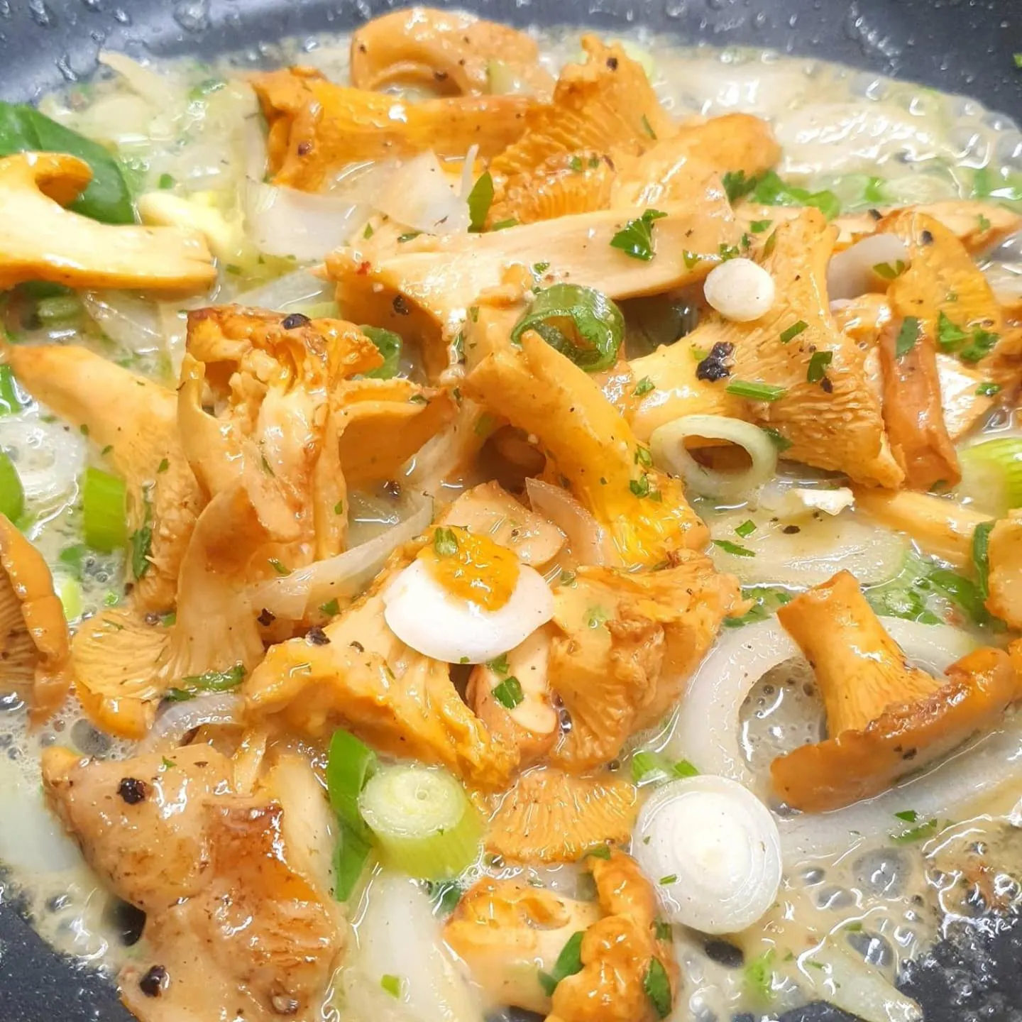 Restaurant/places to eat in Hotel-Restaurant Elsterblick