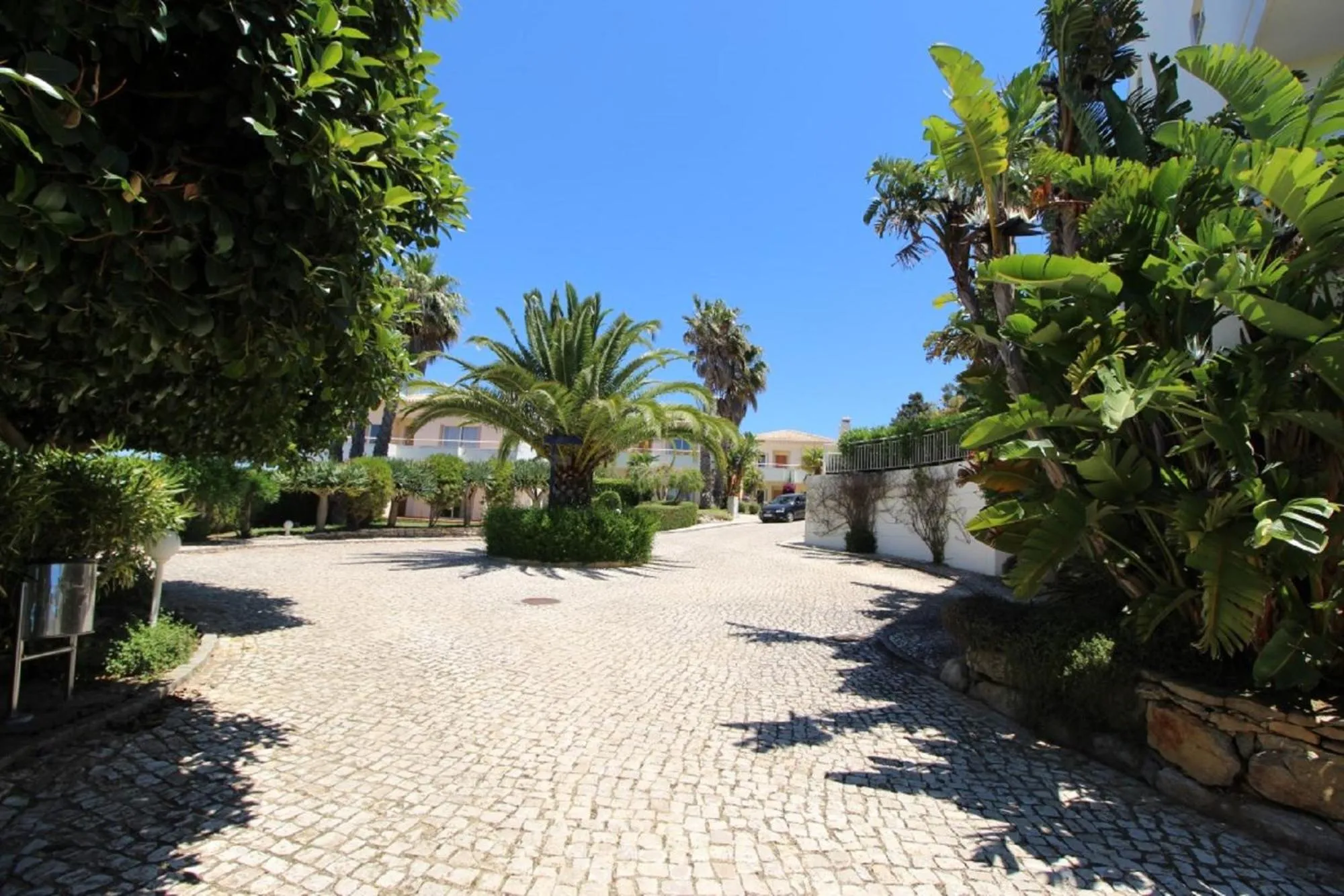 Garden in Vilita