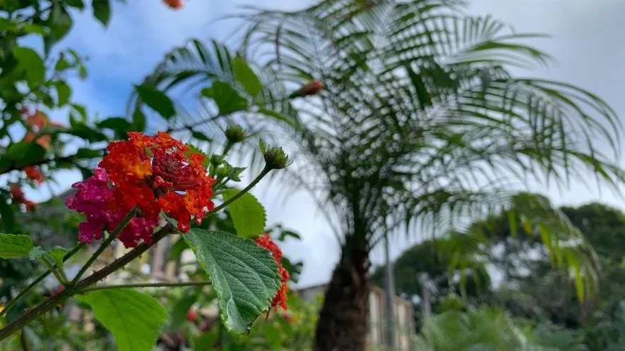 Little Mermaid Hotel Ishigakijima