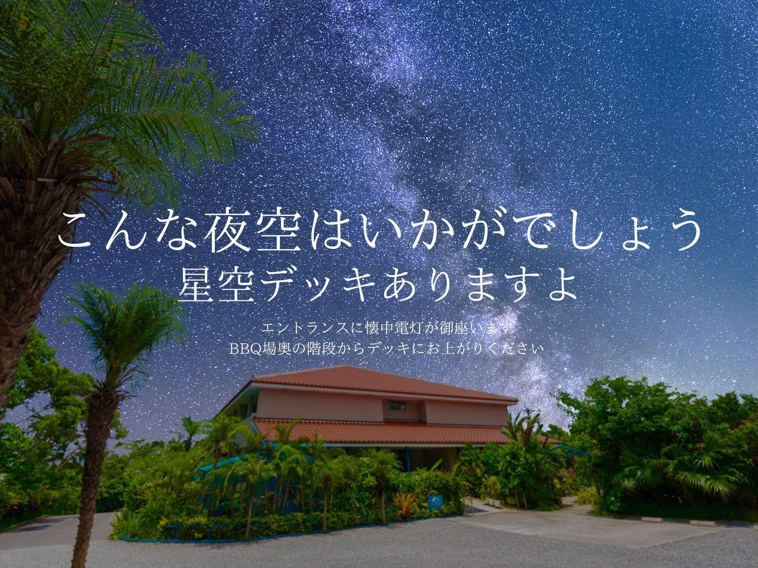 Little Mermaid Hotel Ishigakijima