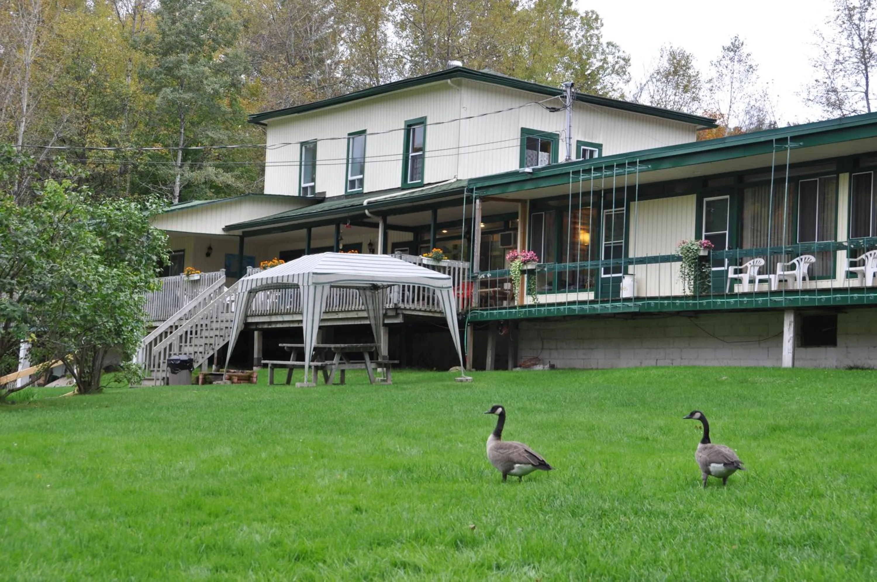 Property building in Le Boisé du Lac