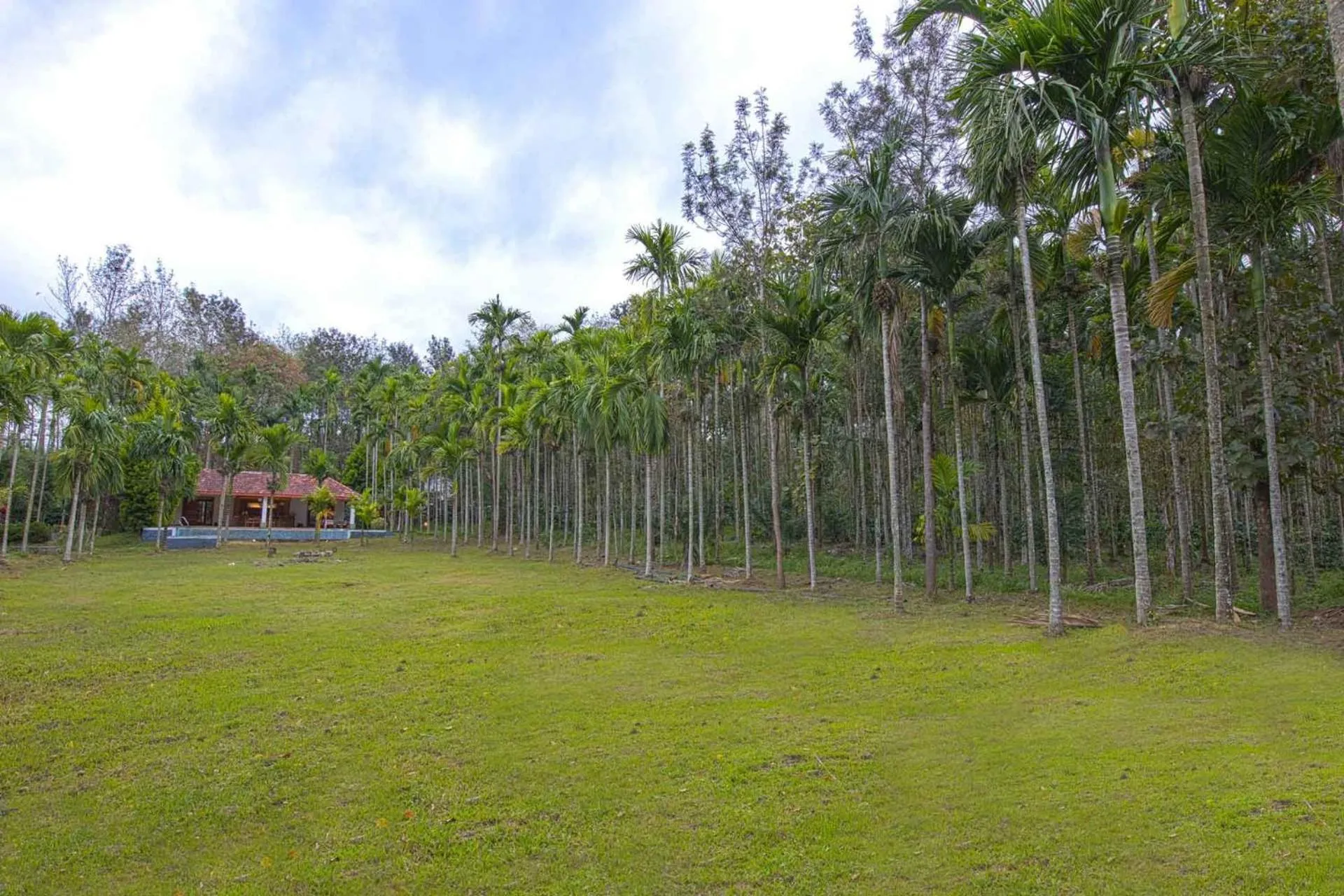 Natural landscape in StayVista at Tall Silver with Infinity Pool & Breakfast -2BR