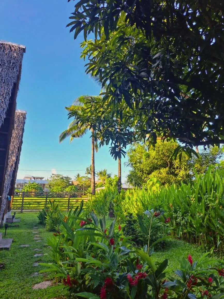 Garden in Triangle Palms Siargao
