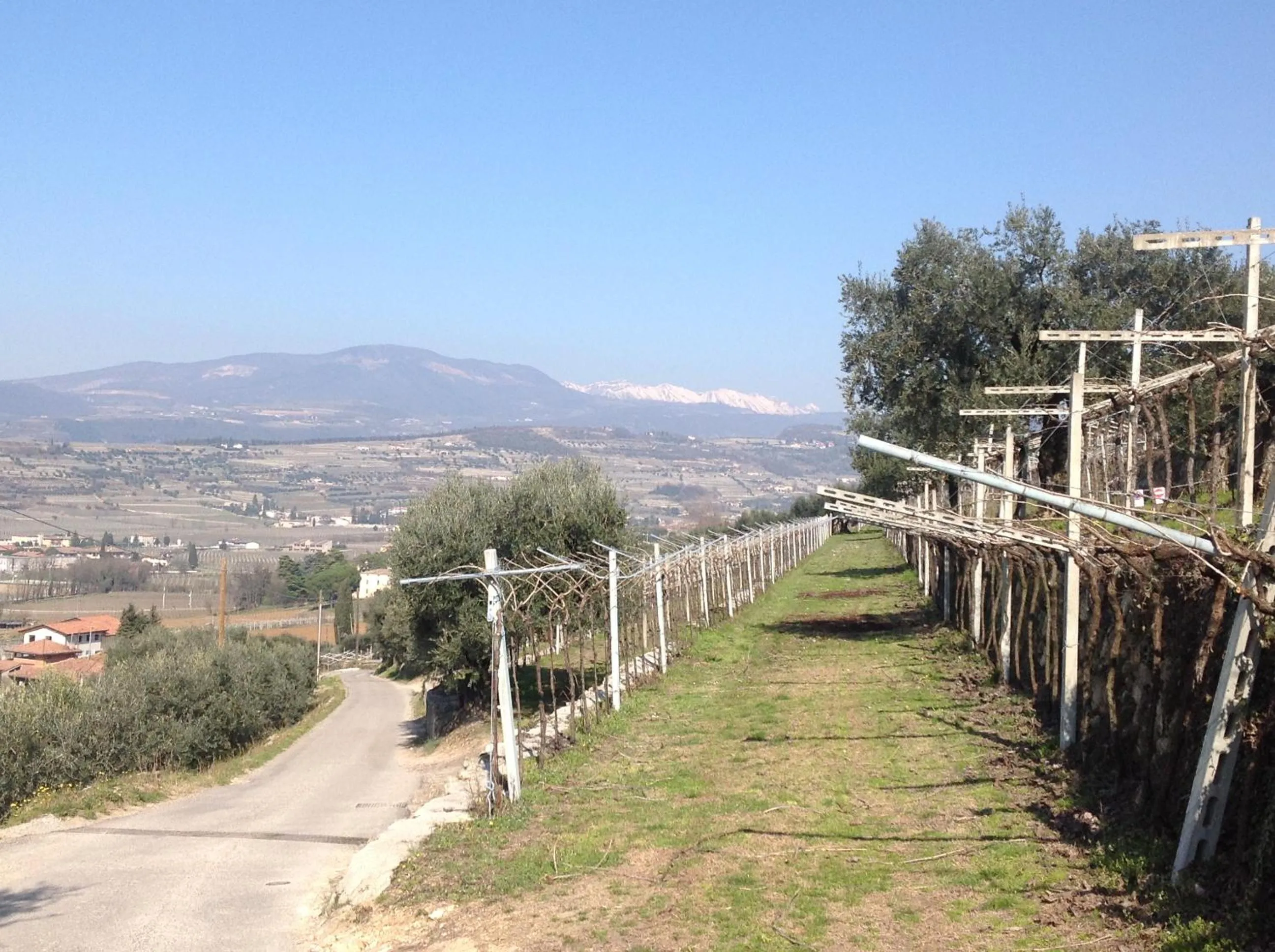 Day in Florivana Boutique Hotel