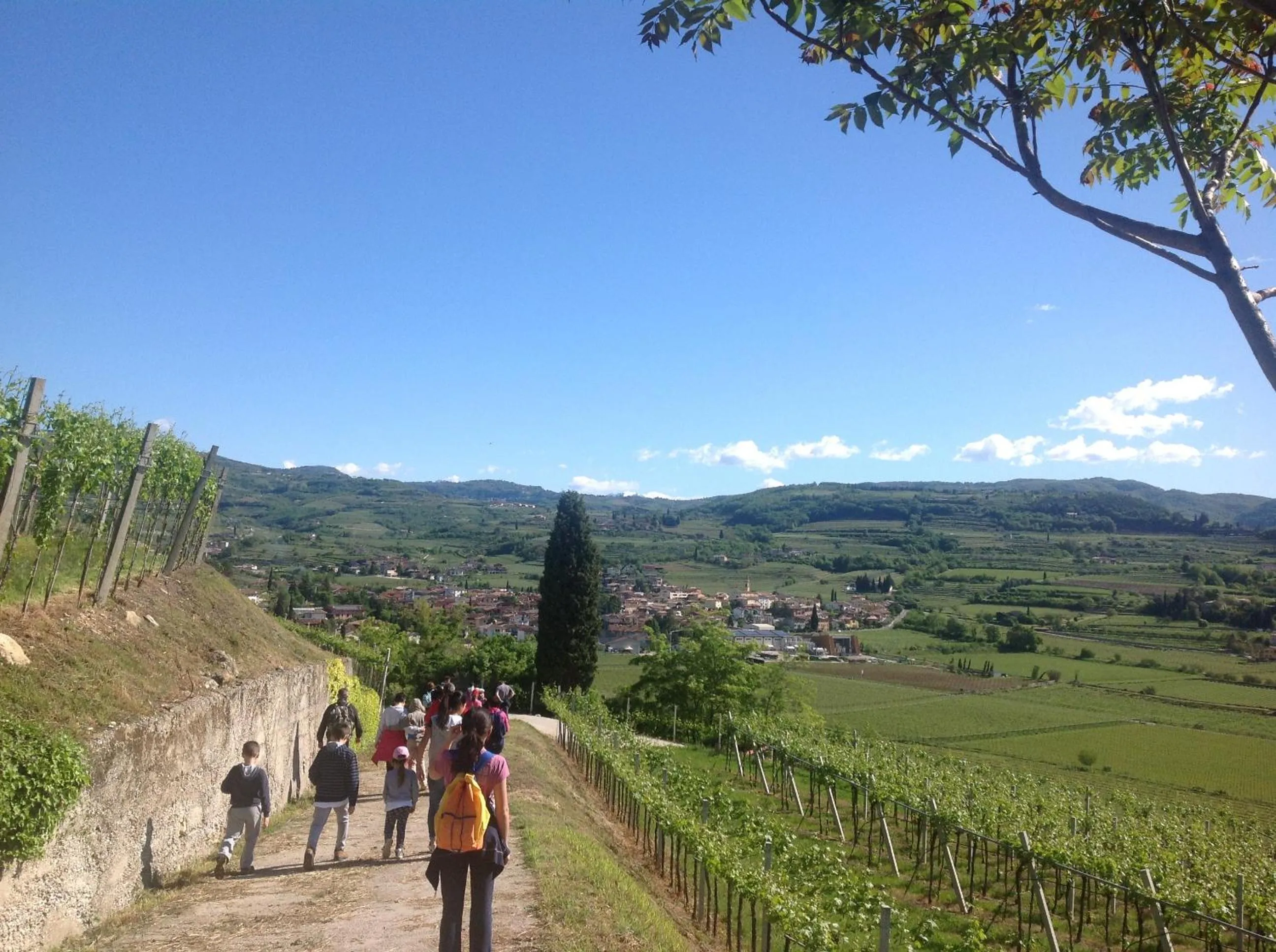 Other in Florivana Boutique Hotel