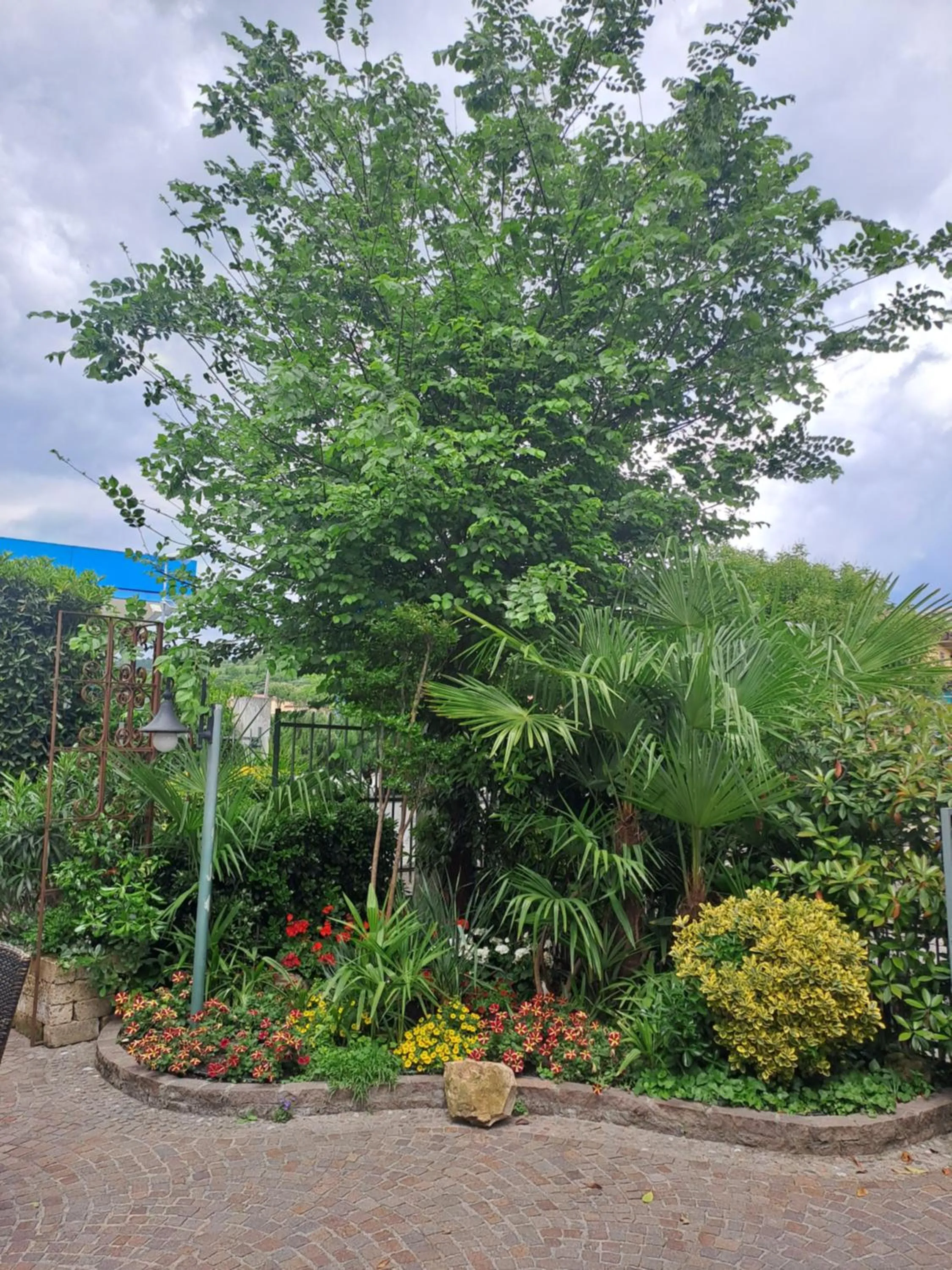 Garden view in Florivana Boutique Hotel