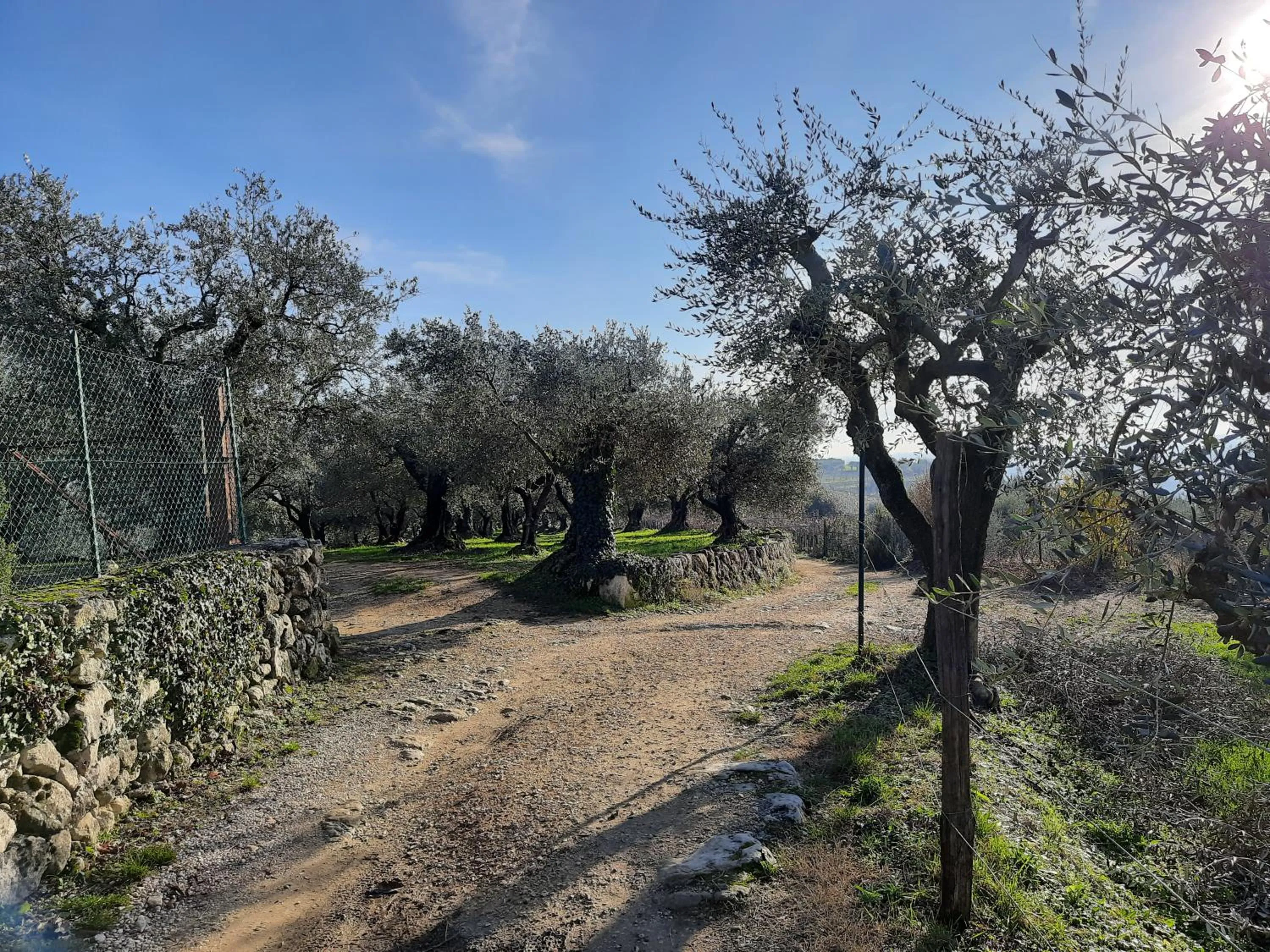 Natural landscape in Florivana Boutique Hotel