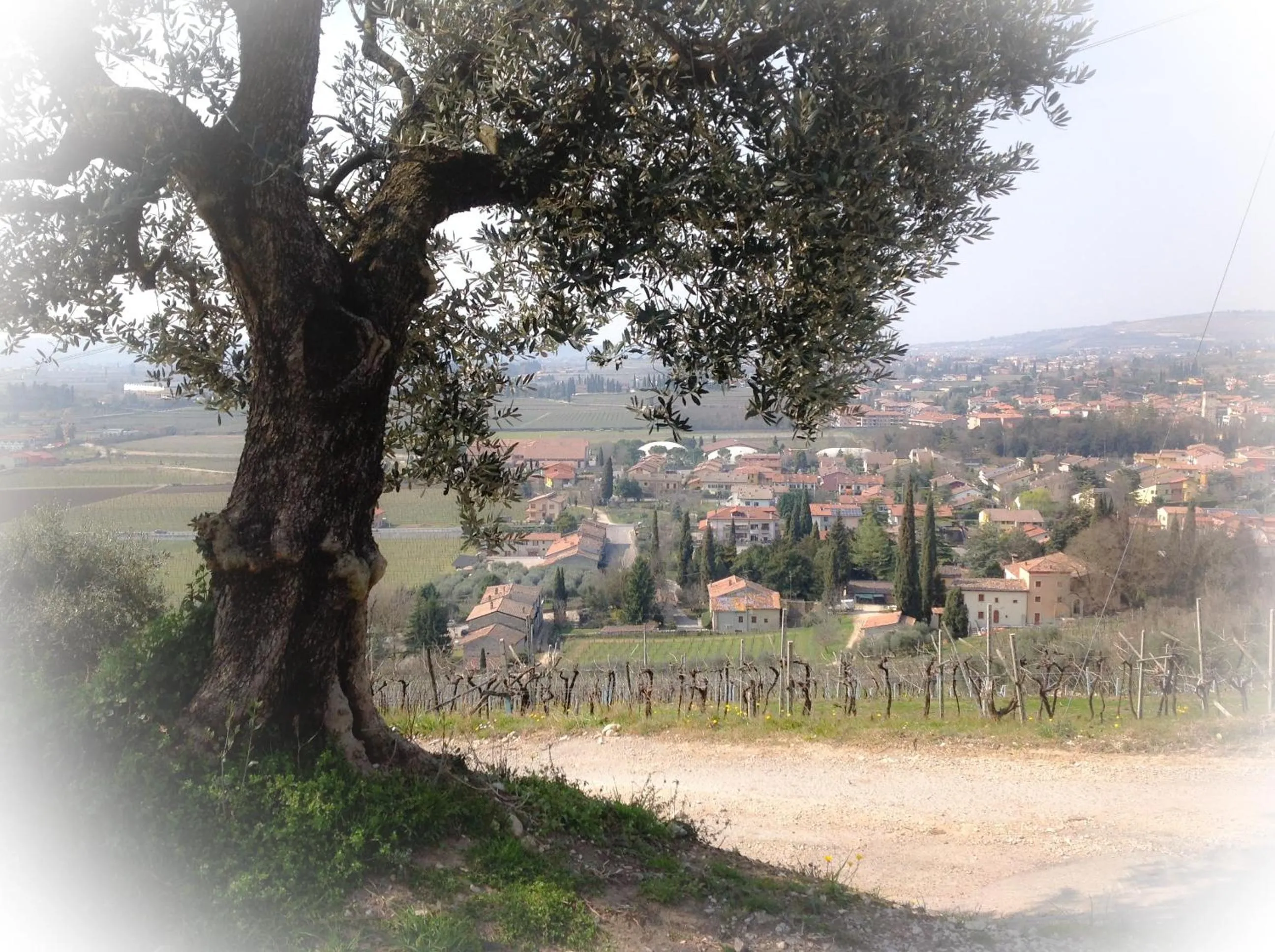 Day in Florivana Boutique Hotel