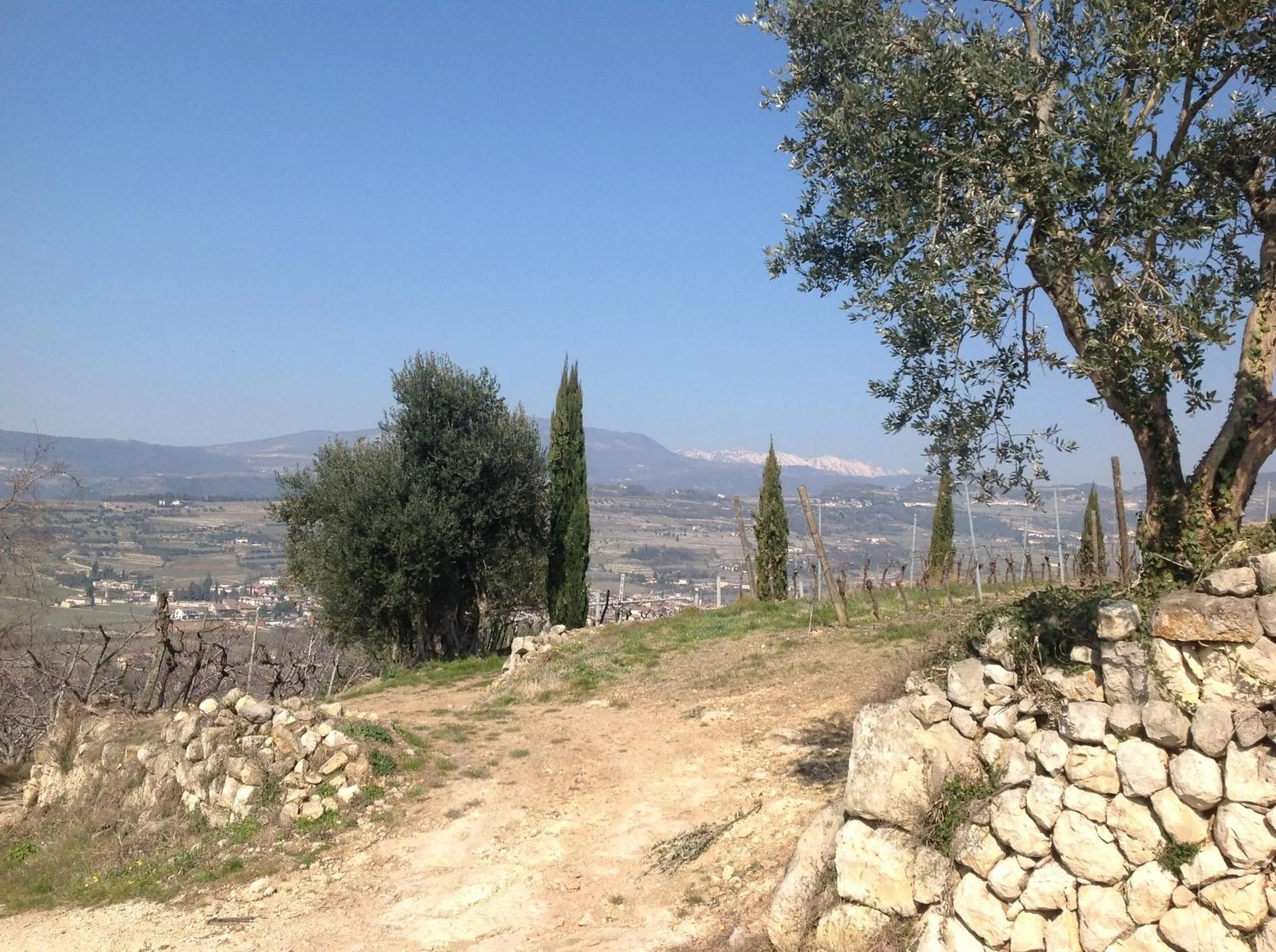 Day in Florivana Boutique Hotel