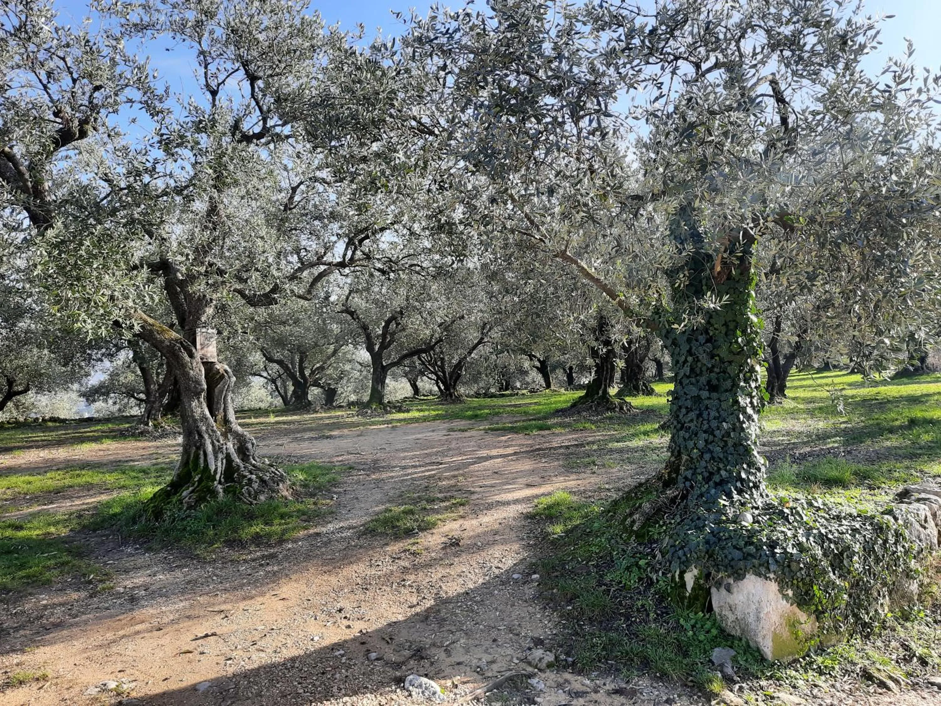 Hiking in Florivana Boutique Hotel