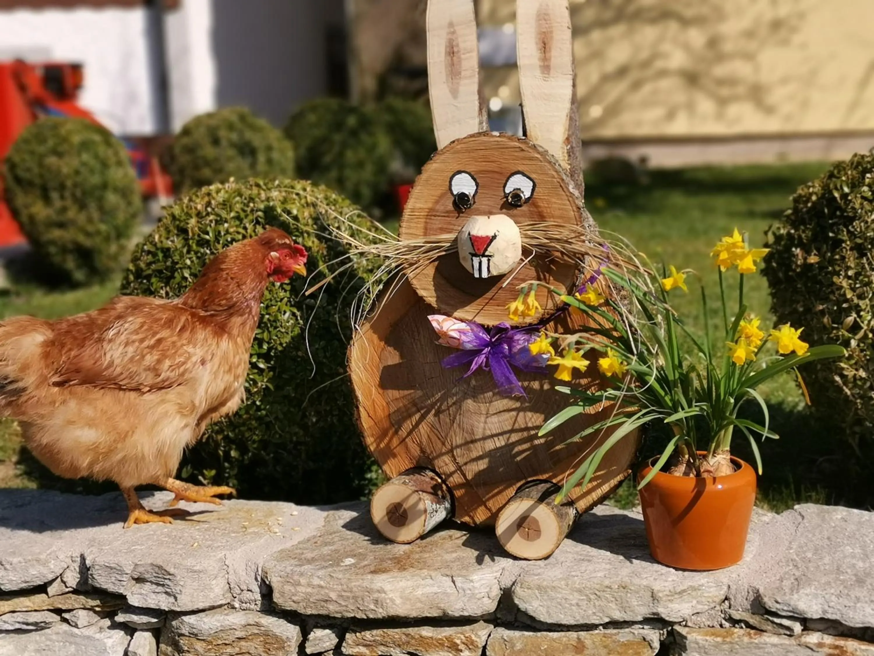 Garden in Ferienwohnung Schlögelhofer