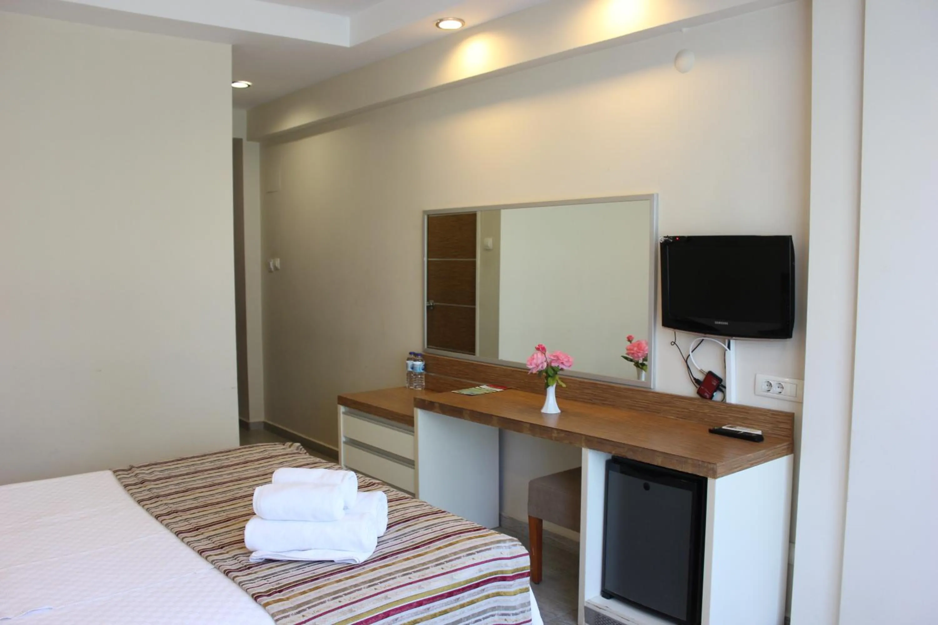 TV and multimedia in Balcova Termal Hotel