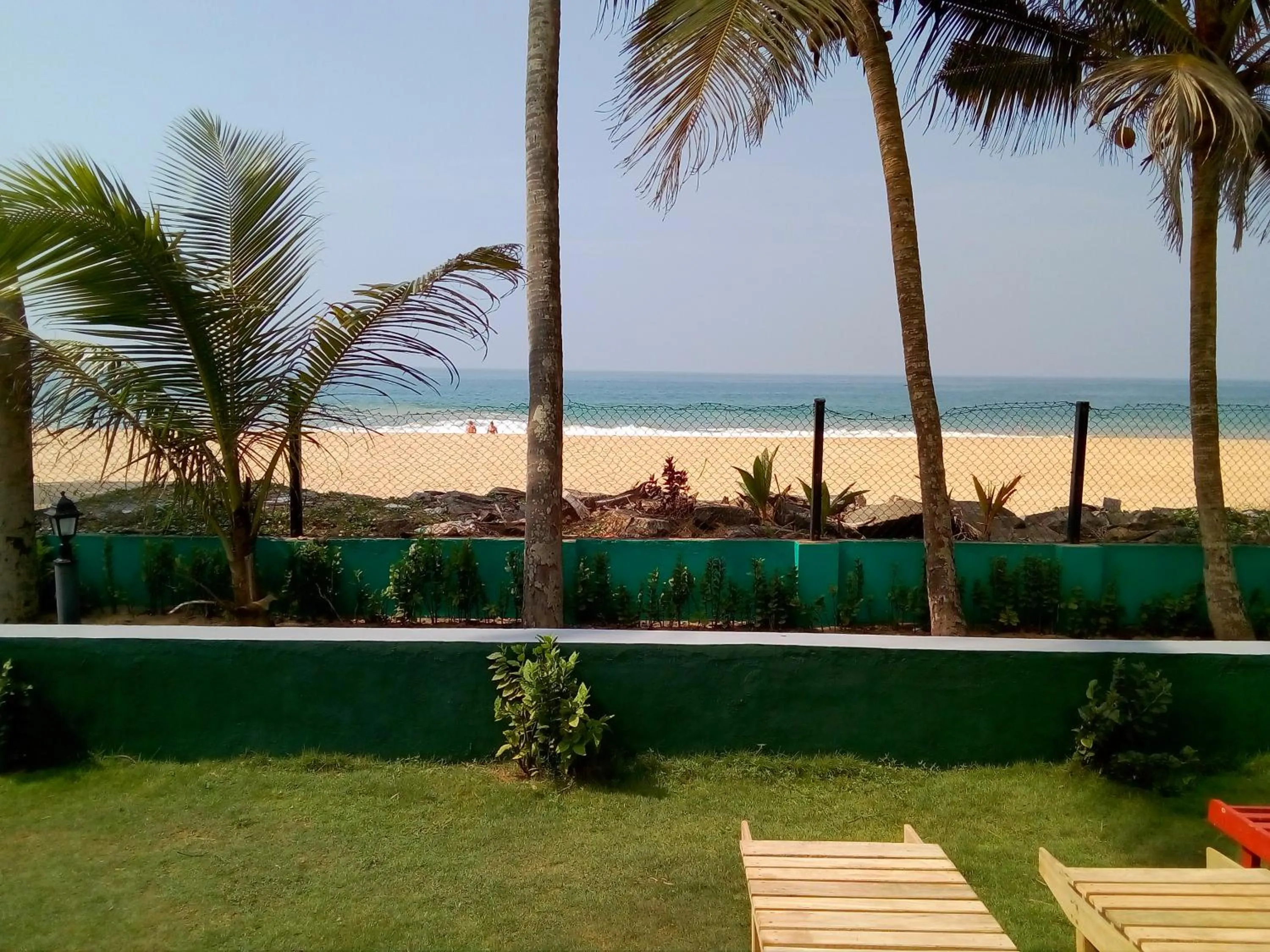 Garden in New SeaSide Inn Hikkaduwa