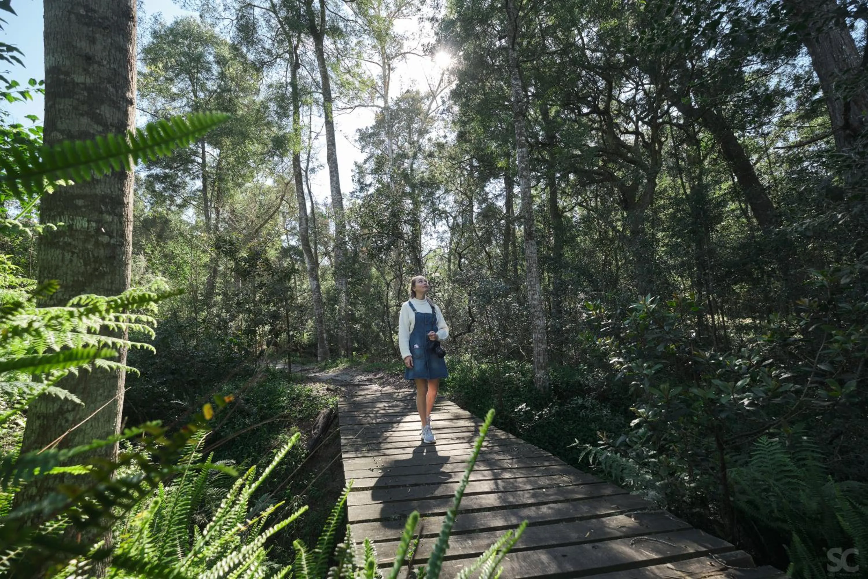Day in Oakhurst Farm Cottages