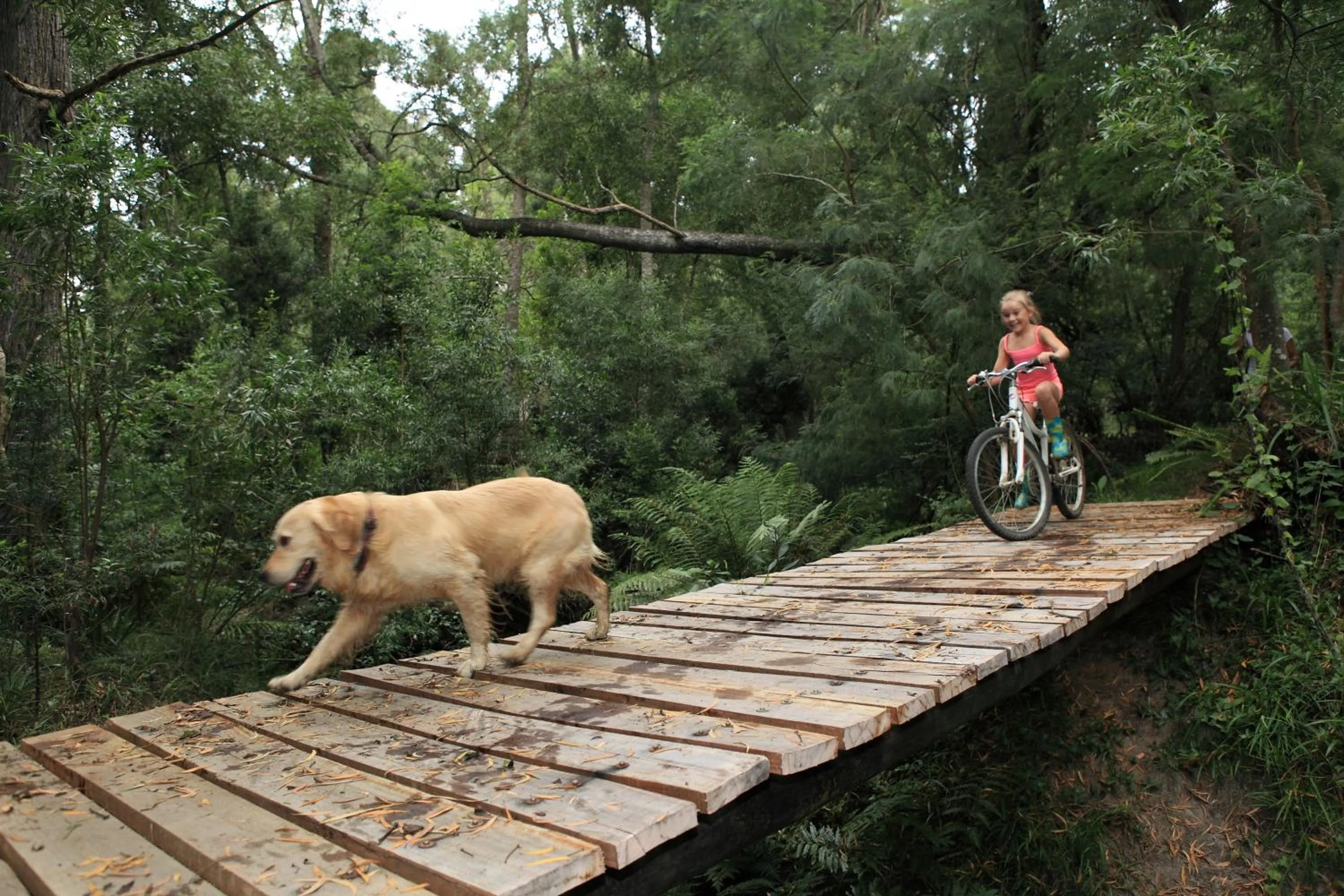 Children play ground in Oakhurst Farm Cottages