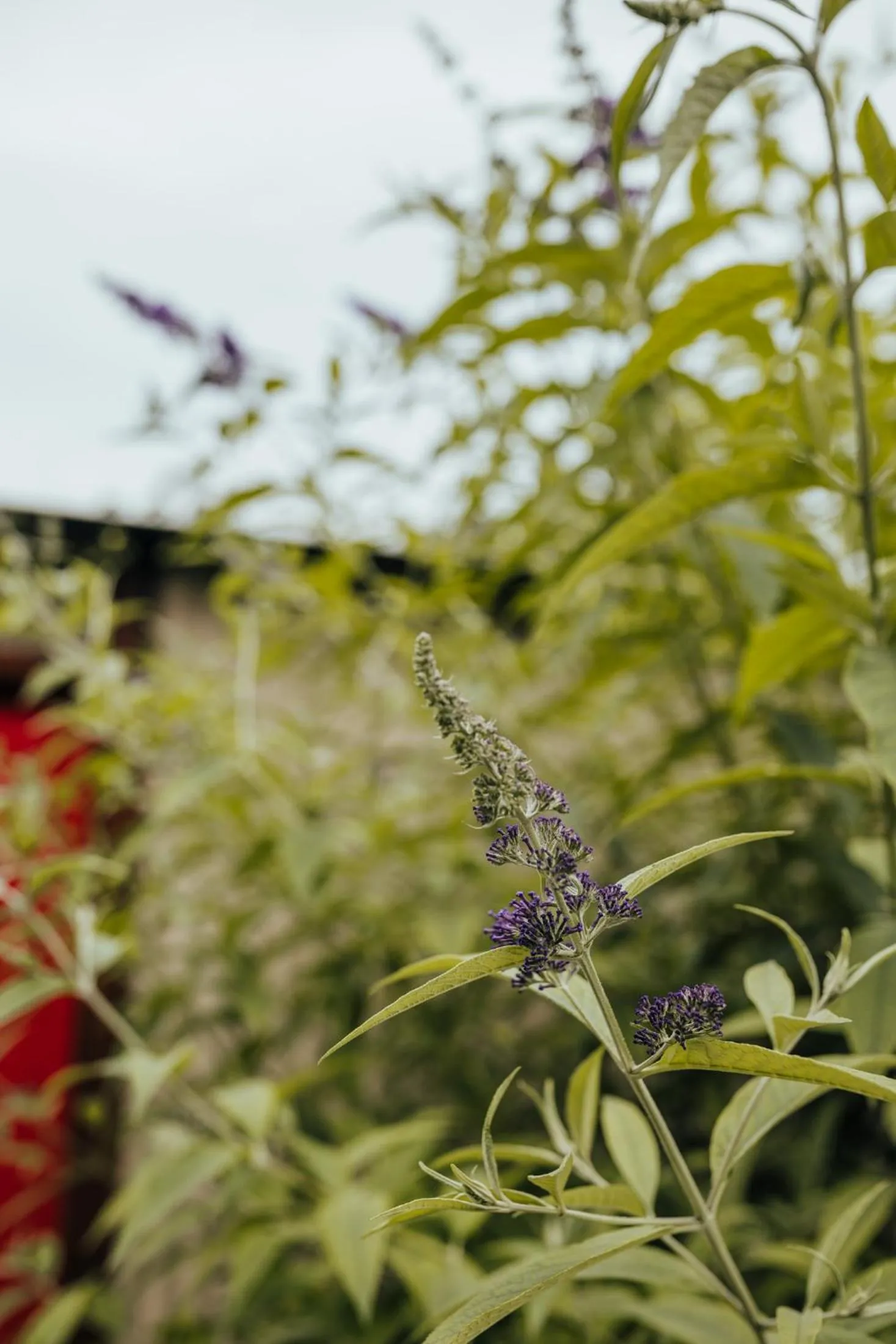 Natural landscape in Oakhurst Farm Cottages