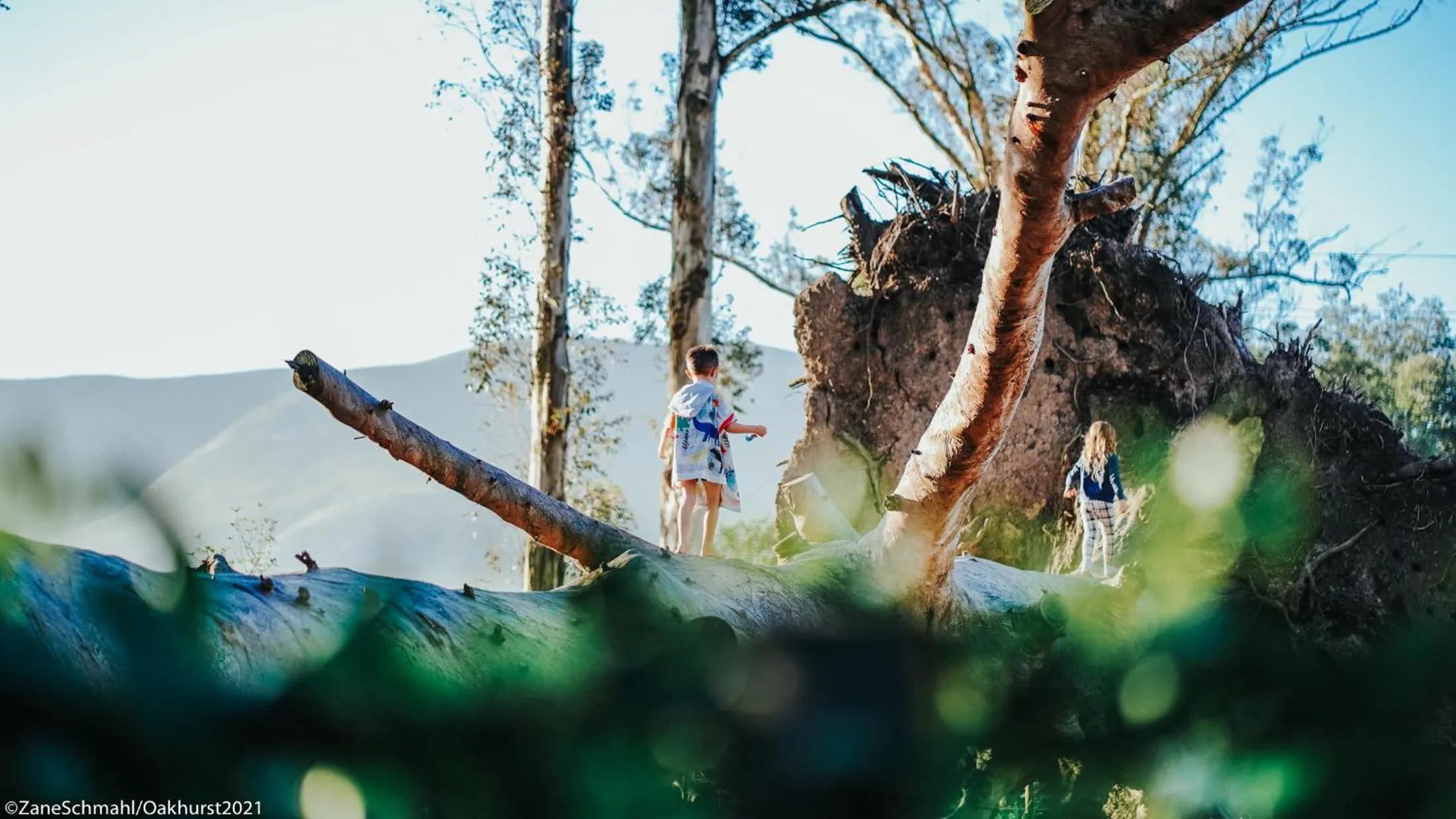Natural landscape in Oakhurst Farm Cottages