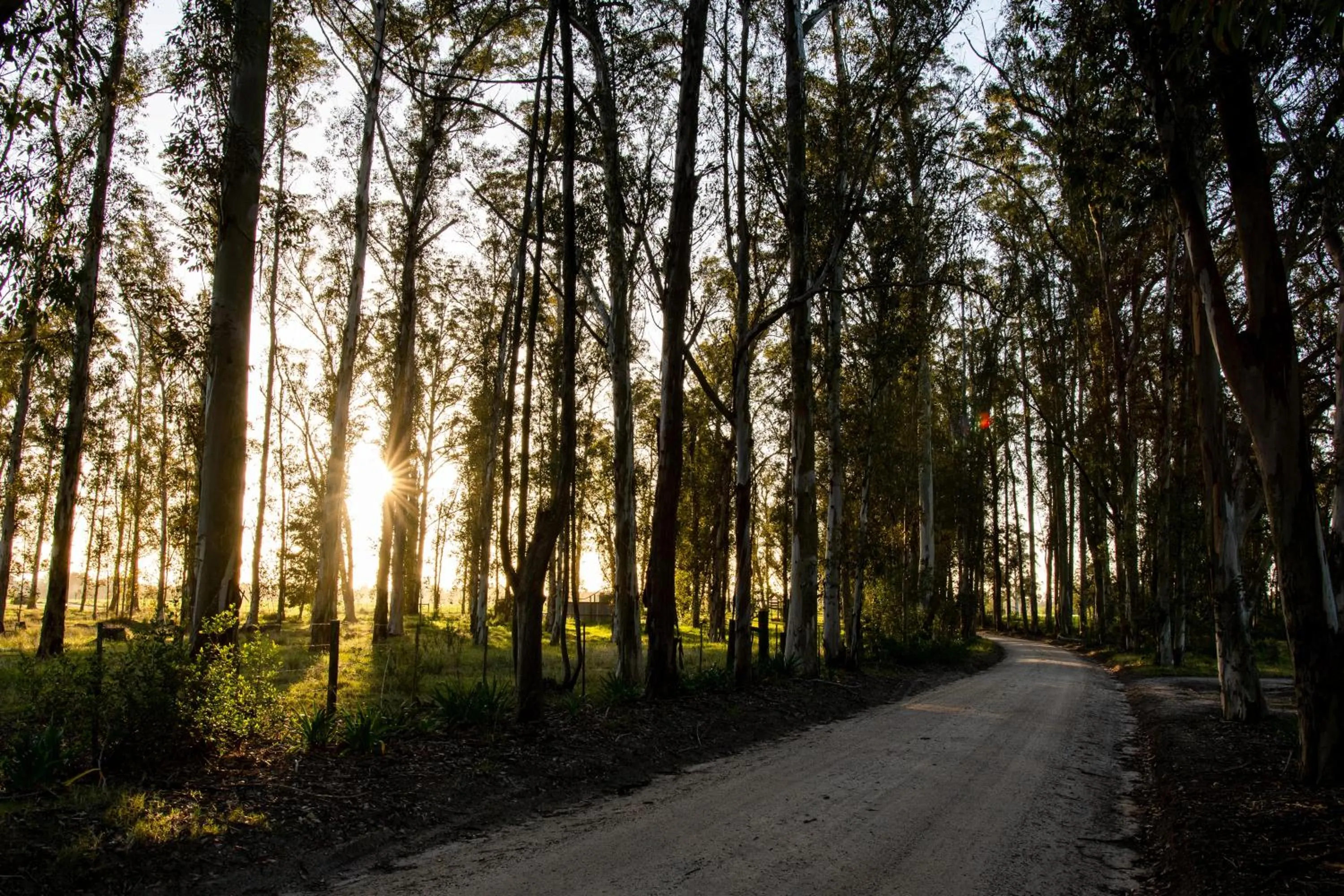 Natural landscape in Oakhurst Farm Cottages