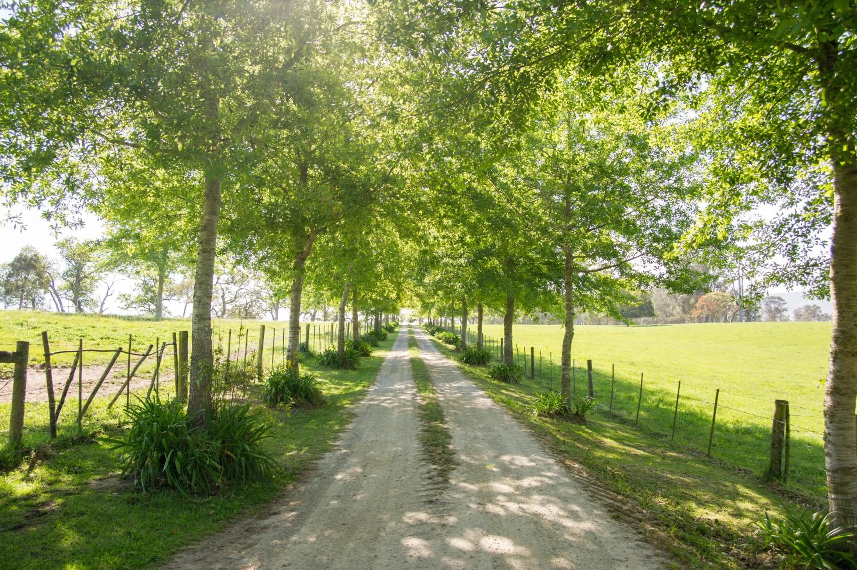 Natural landscape in Oakhurst Farm Cottages