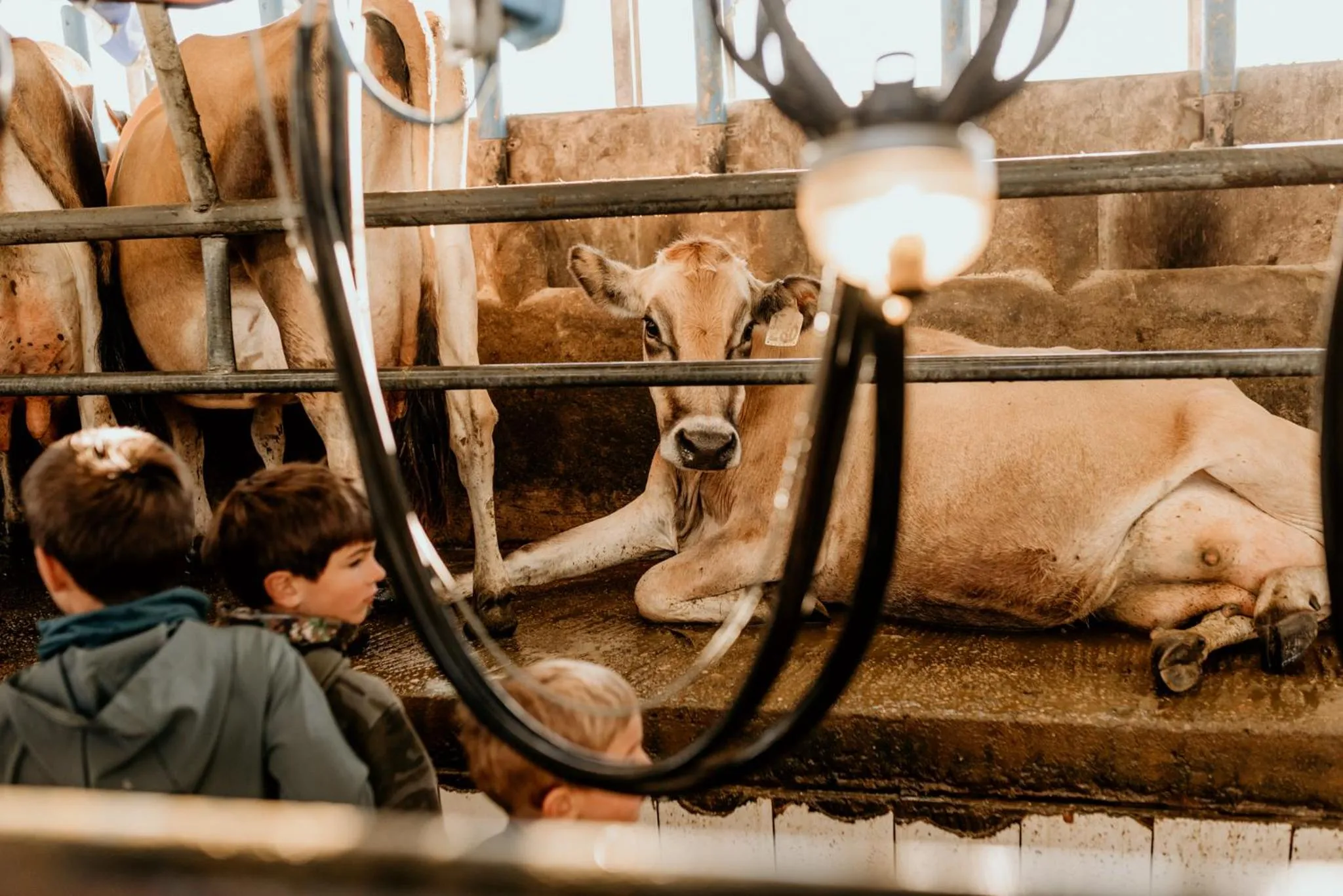 Activities in Oakhurst Farm Cottages