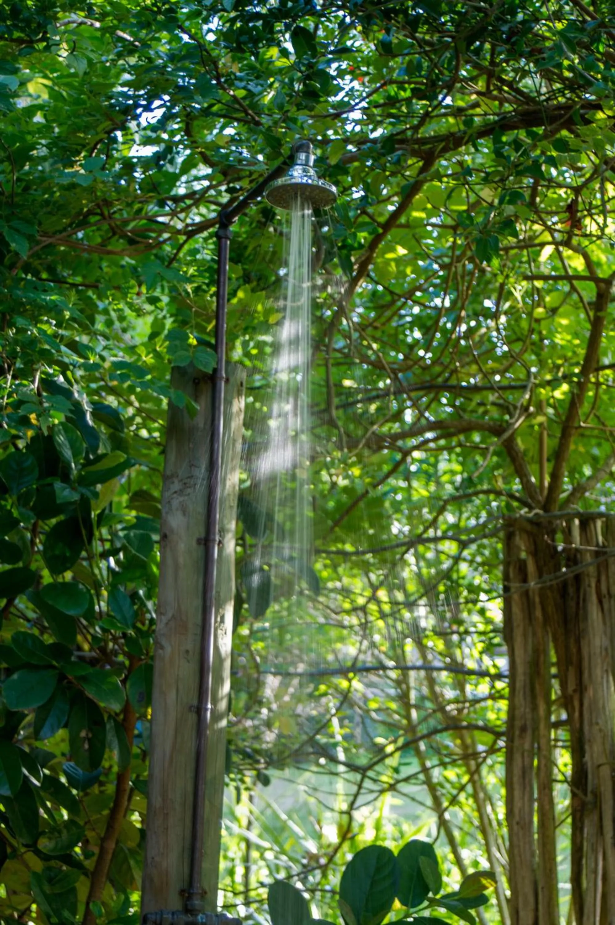 Shower in Oakhurst Farm Cottages